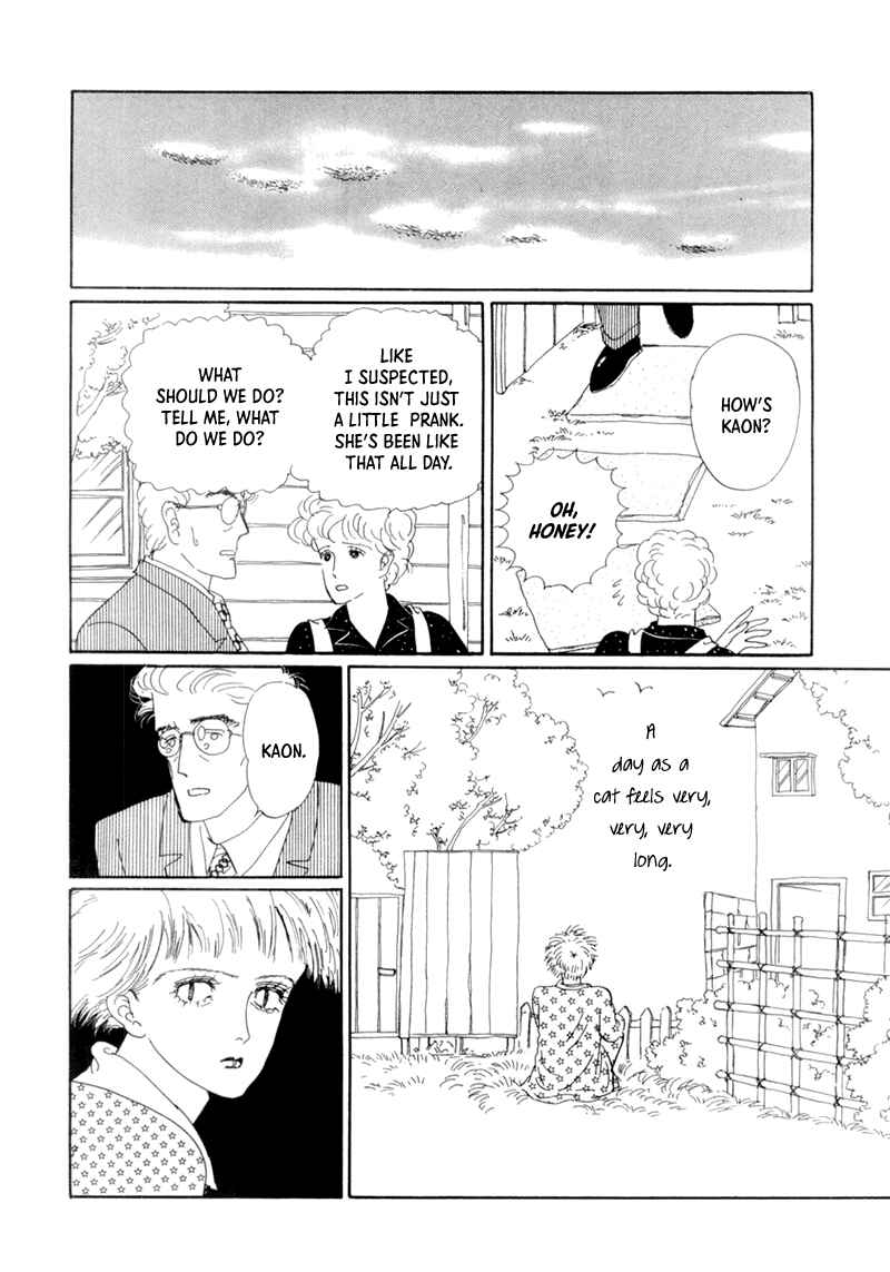 Page 37 Chapter 19 The Star of Cottonland