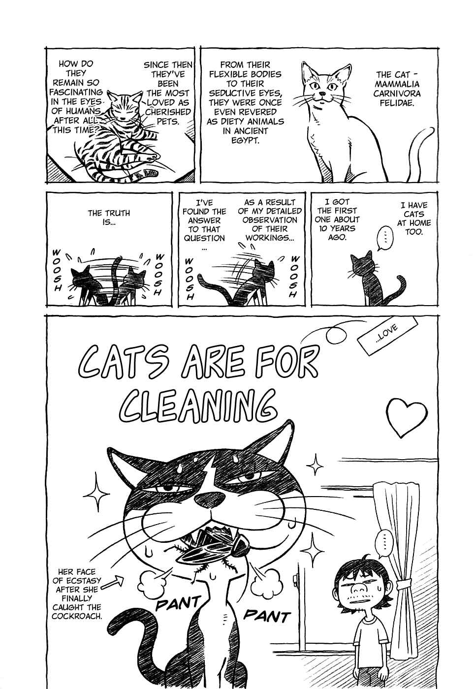 Page 20 Chapter 19 Cherry