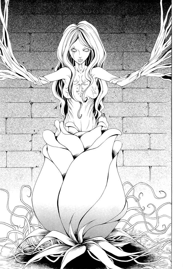 Page 14 Chapter 18 Diabolic Garden