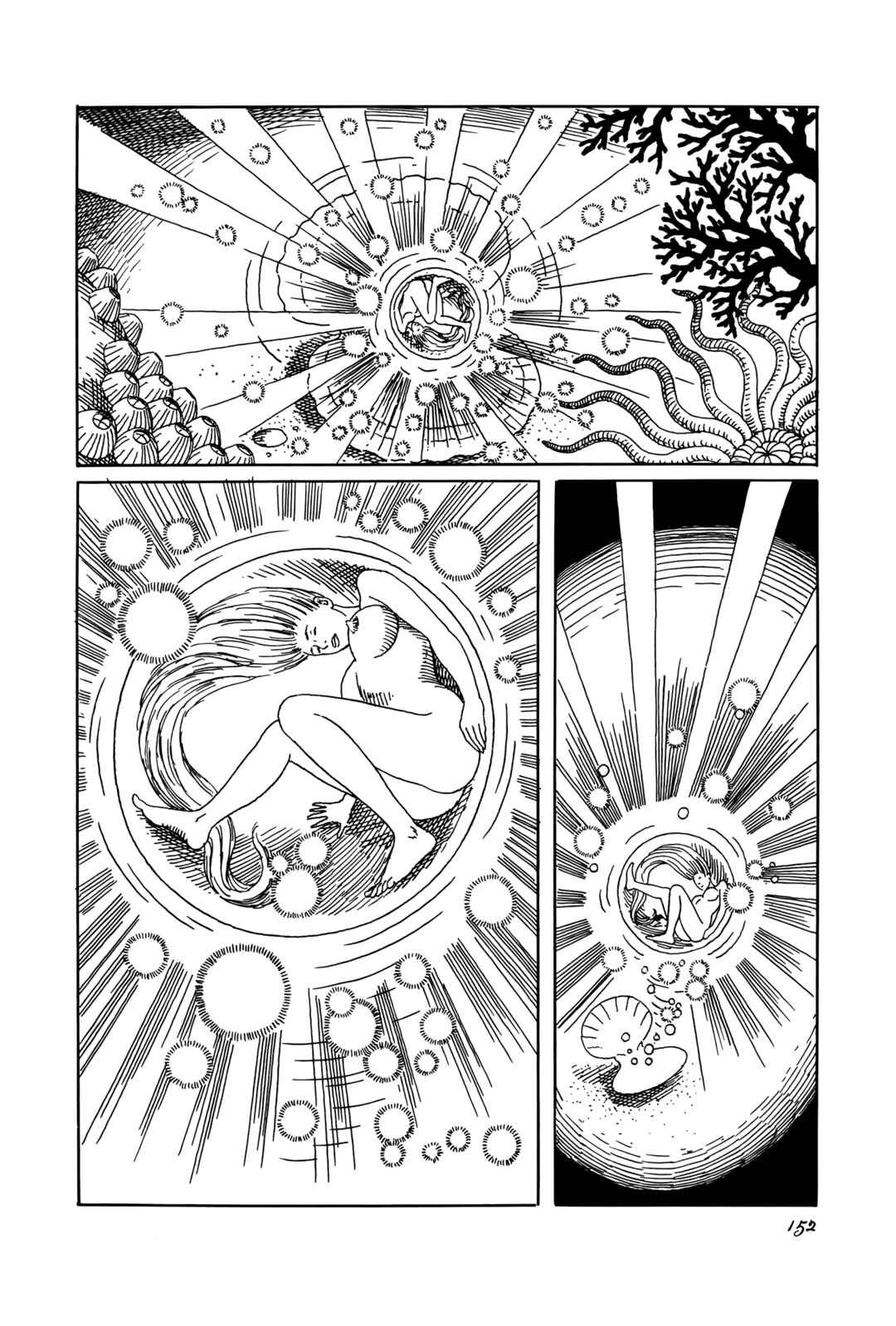 Page 4 Chapter 6 Guns and Roses