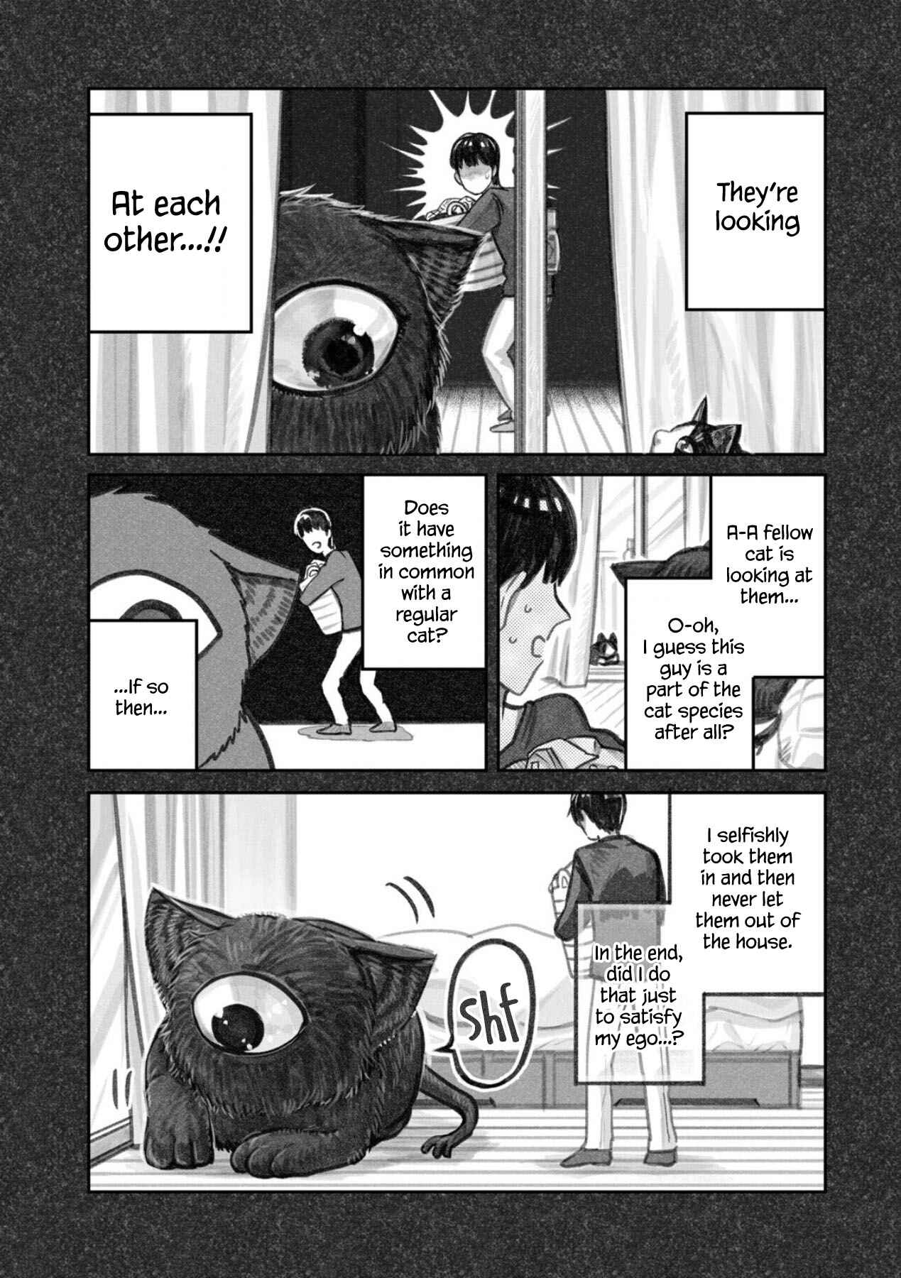 Page 12 Chapter 2 The Story of How I Found My Cat