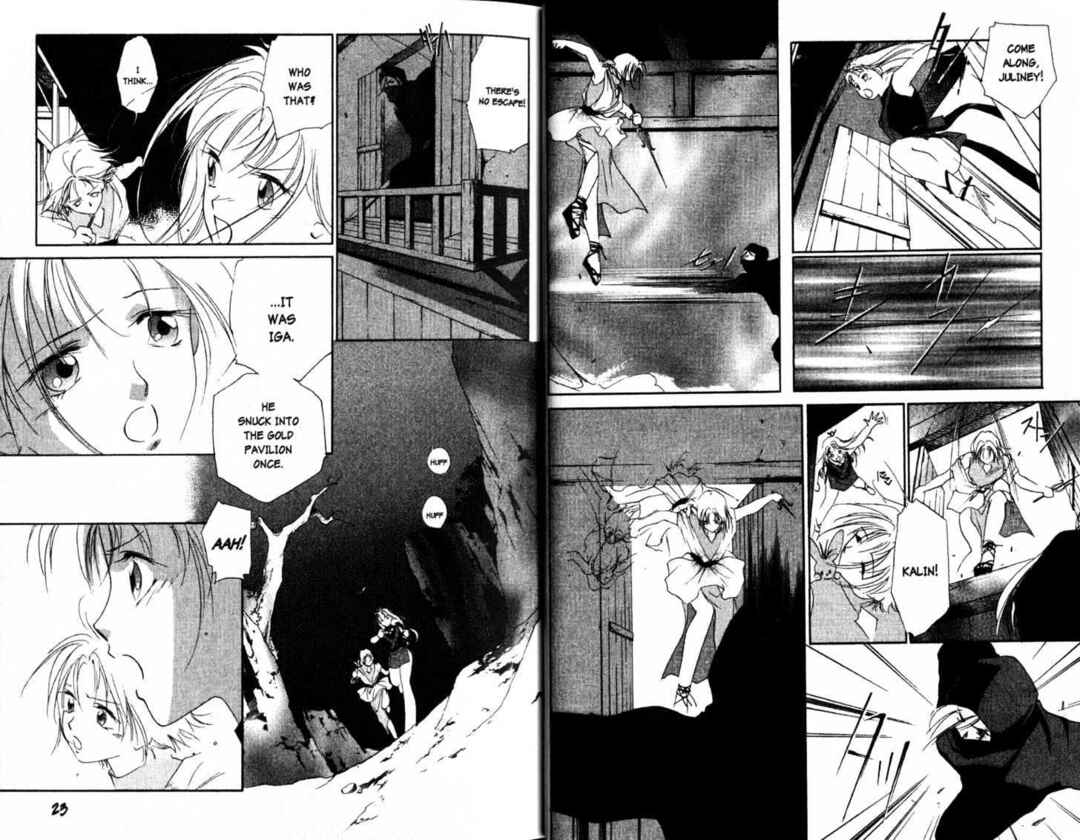 Page 14 Chapter 11 The Kung Fu Sisters Lin³