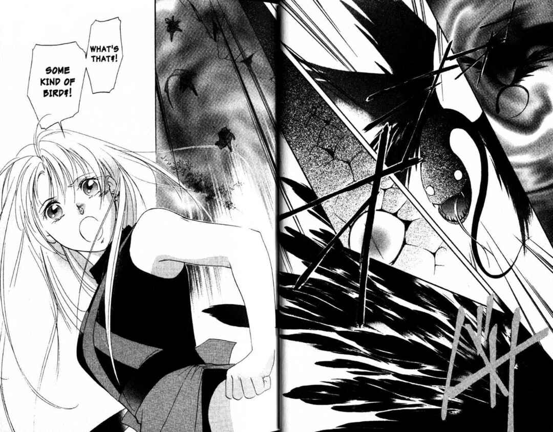 Page 17 Chapter 11 The Kung Fu Sisters Lin³