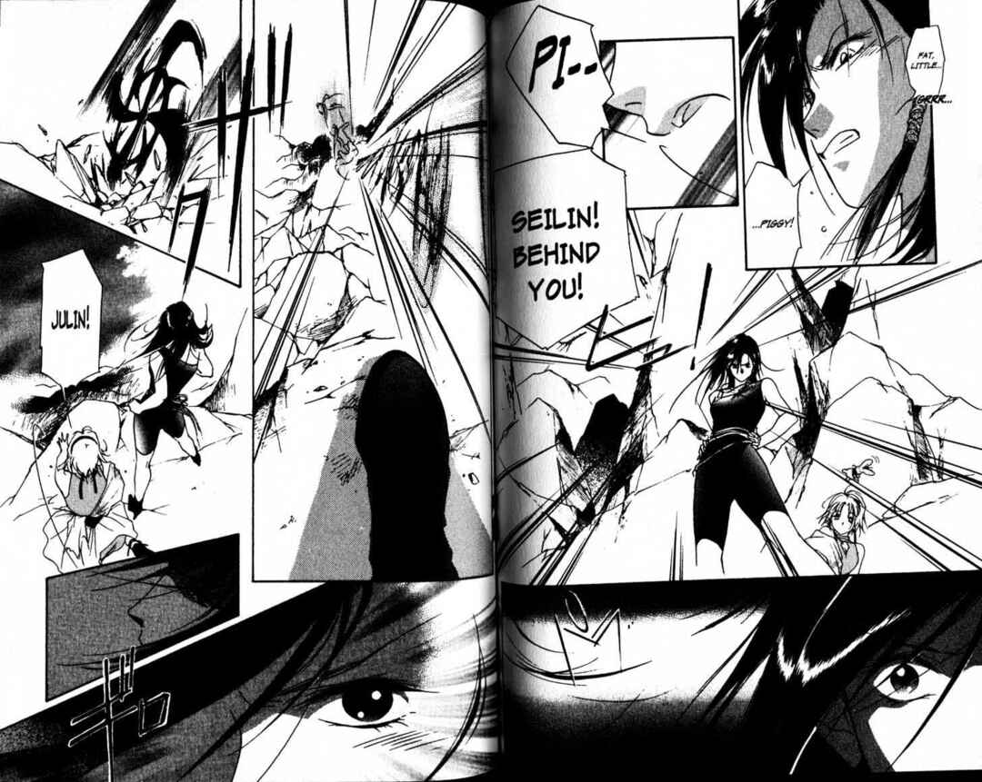 Page 13 Chapter 19 The Kung Fu Sisters Lin³