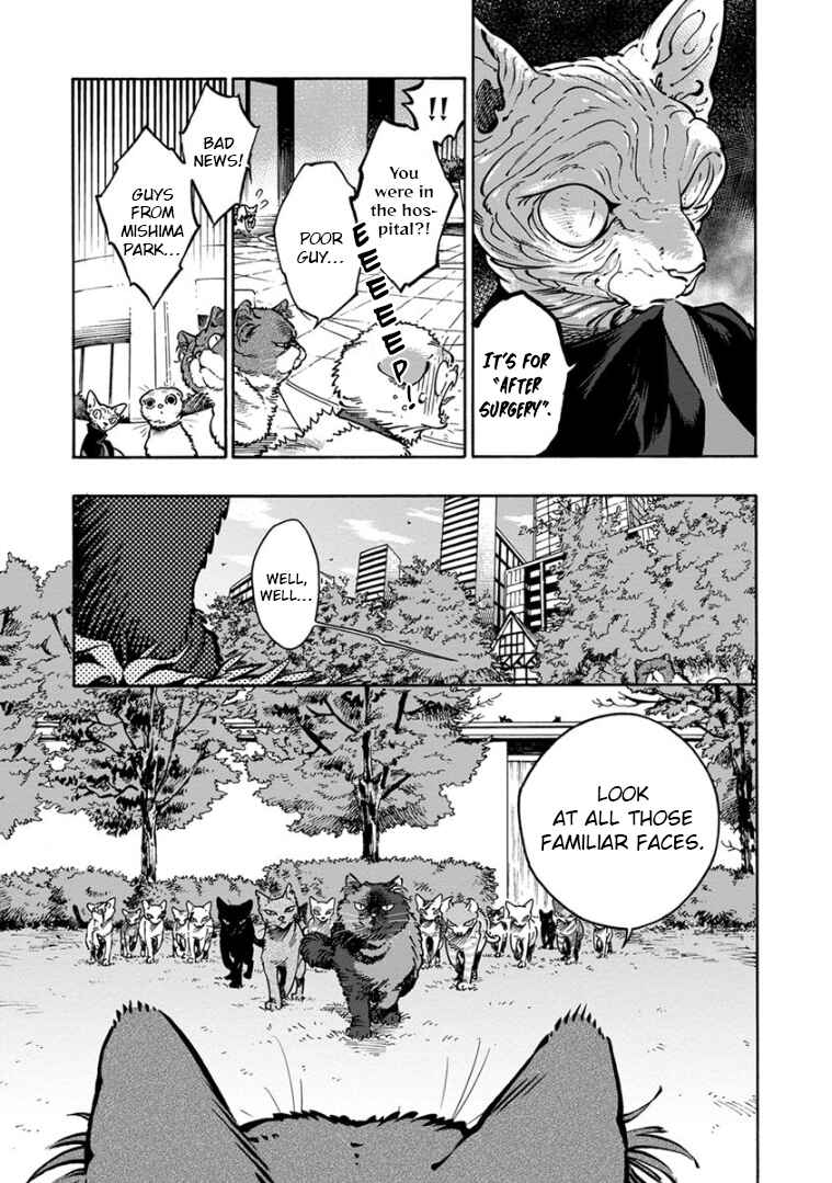 Page 13 Chapter 31 Rojiura Brothers