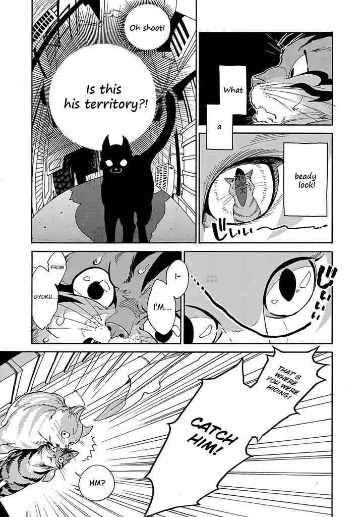Page 3 Chapter 3 Rojiura Brothers