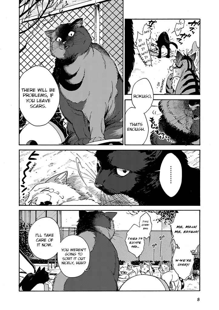Page 8 Chapter 3 Rojiura Brothers