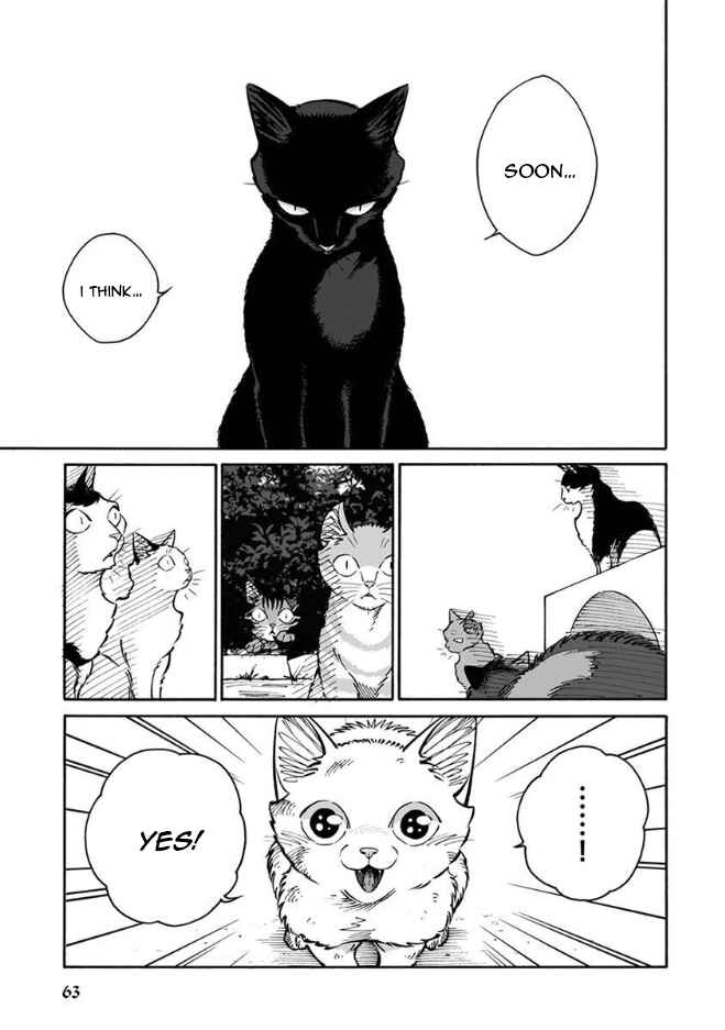 Page 13 Chapter 14 Rojiura Brothers