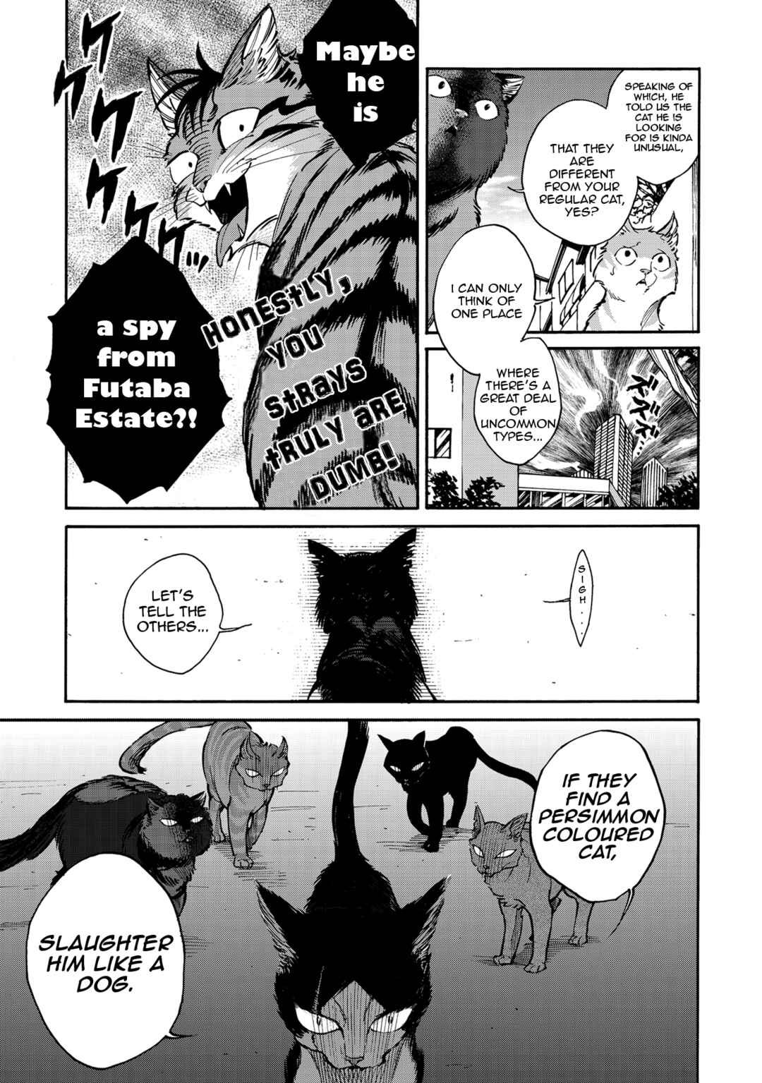 Page 5 Chapter 6 Rojiura Brothers