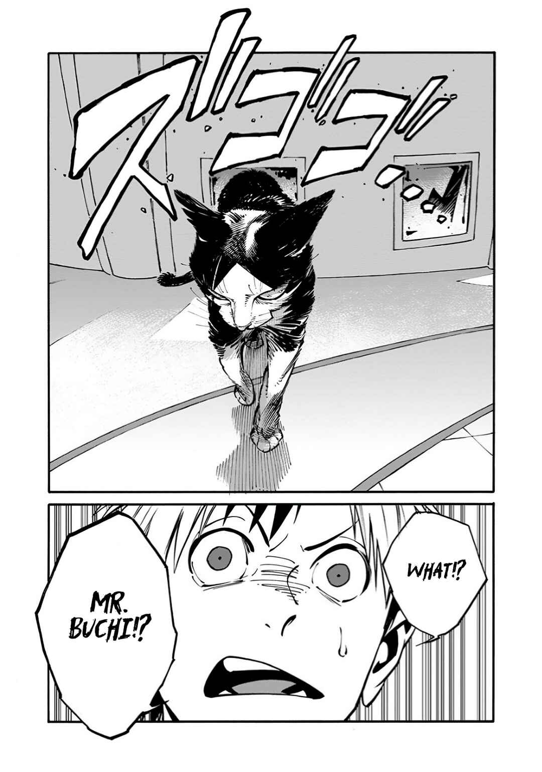 Page 15 Chapter 26 Rojiura Brothers