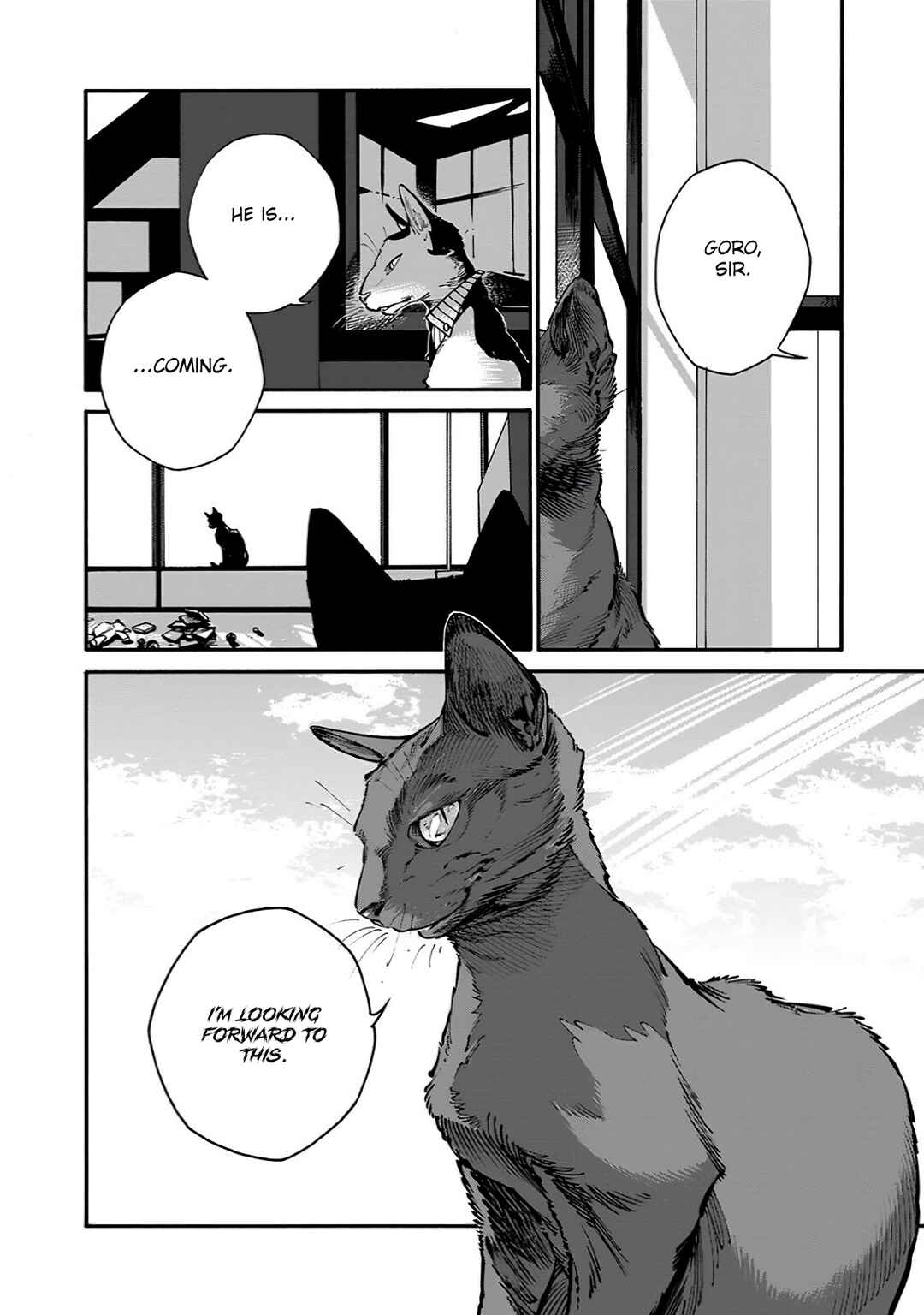 Page 16 Chapter 26 Rojiura Brothers