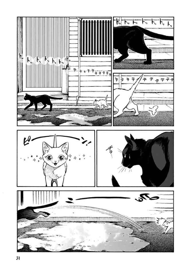 Page 14 Chapter 12 Rojiura Brothers