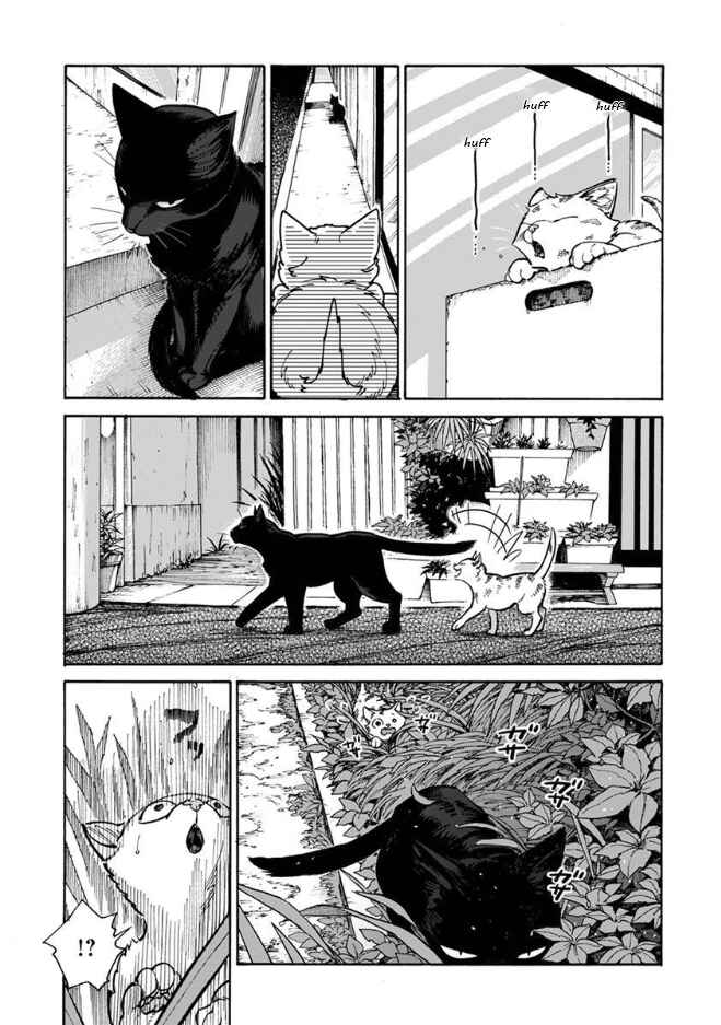 Page 16 Chapter 12 Rojiura Brothers