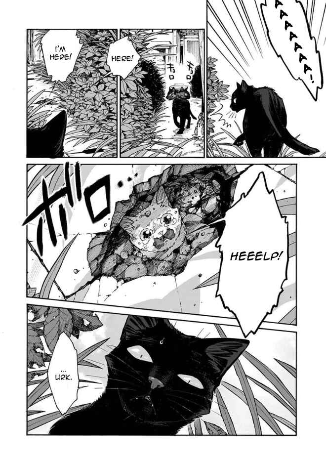 Page 17 Chapter 12 Rojiura Brothers