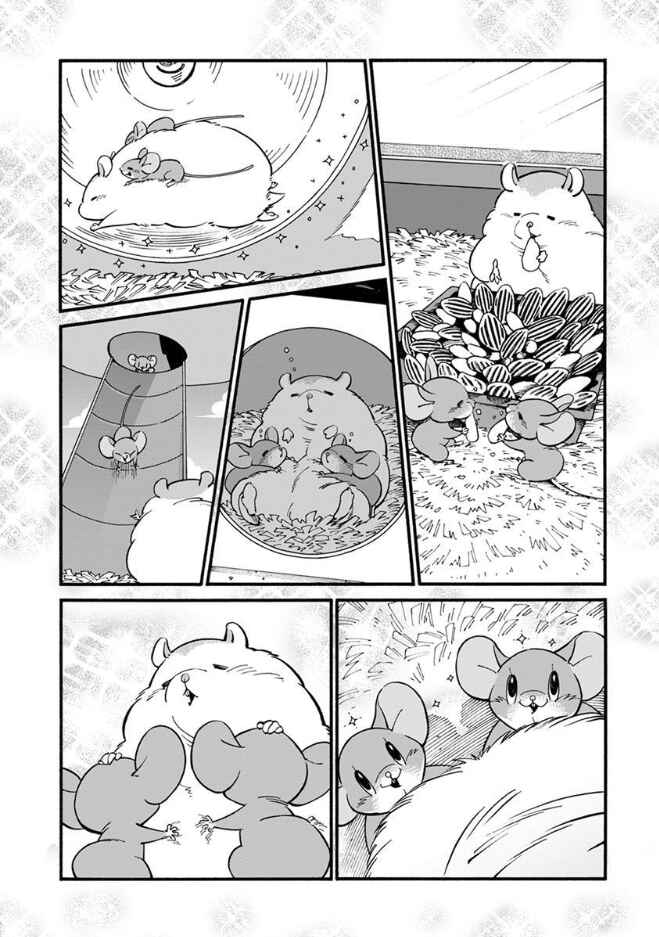 Page 9 Chapter 22.5 Rojiura Brothers