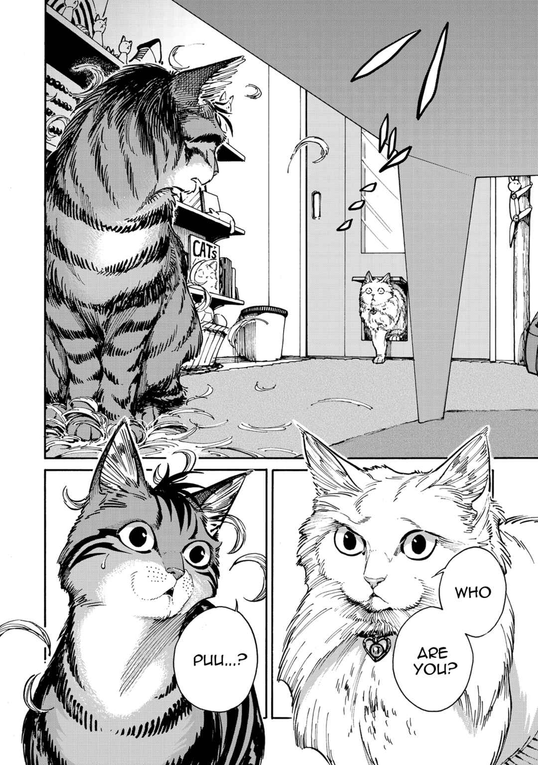 Page 12 Chapter 8 Rojiura Brothers