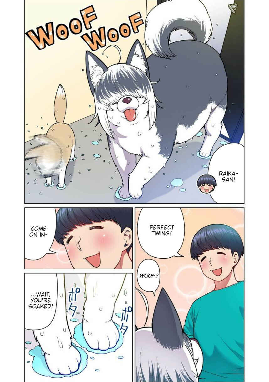 Page 5 Chapter 4 Shin Elf-san wa Yaserarenai. (Official Colored)