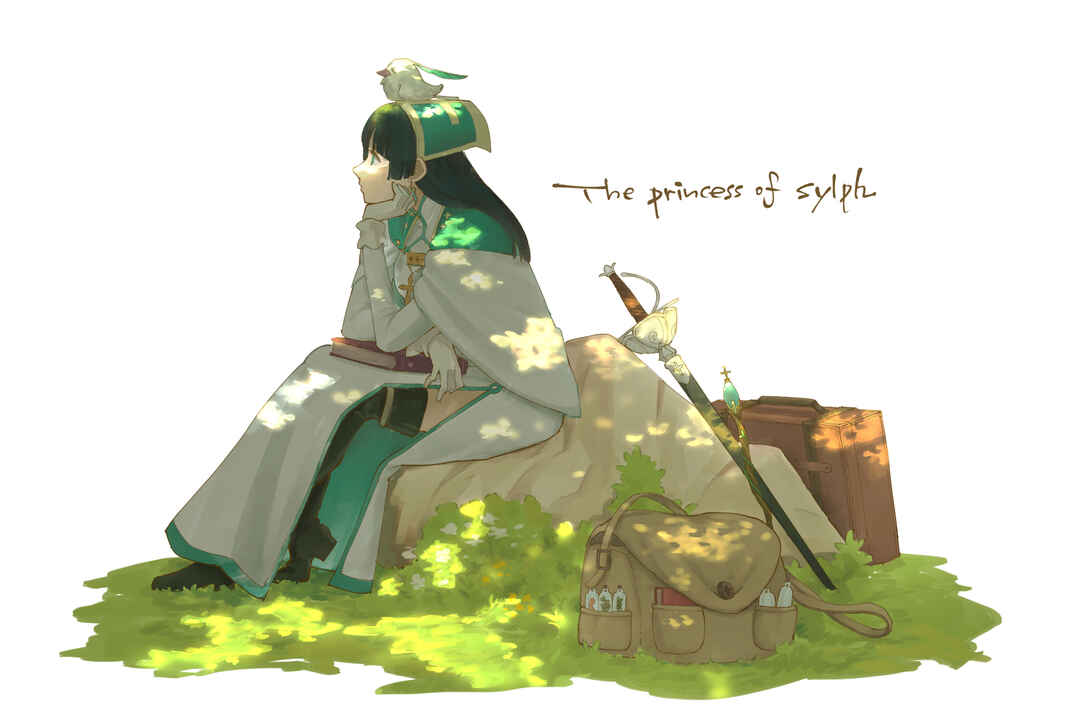 Page 1 Chapter 20 The Princess of Sylph (Twitter Version)