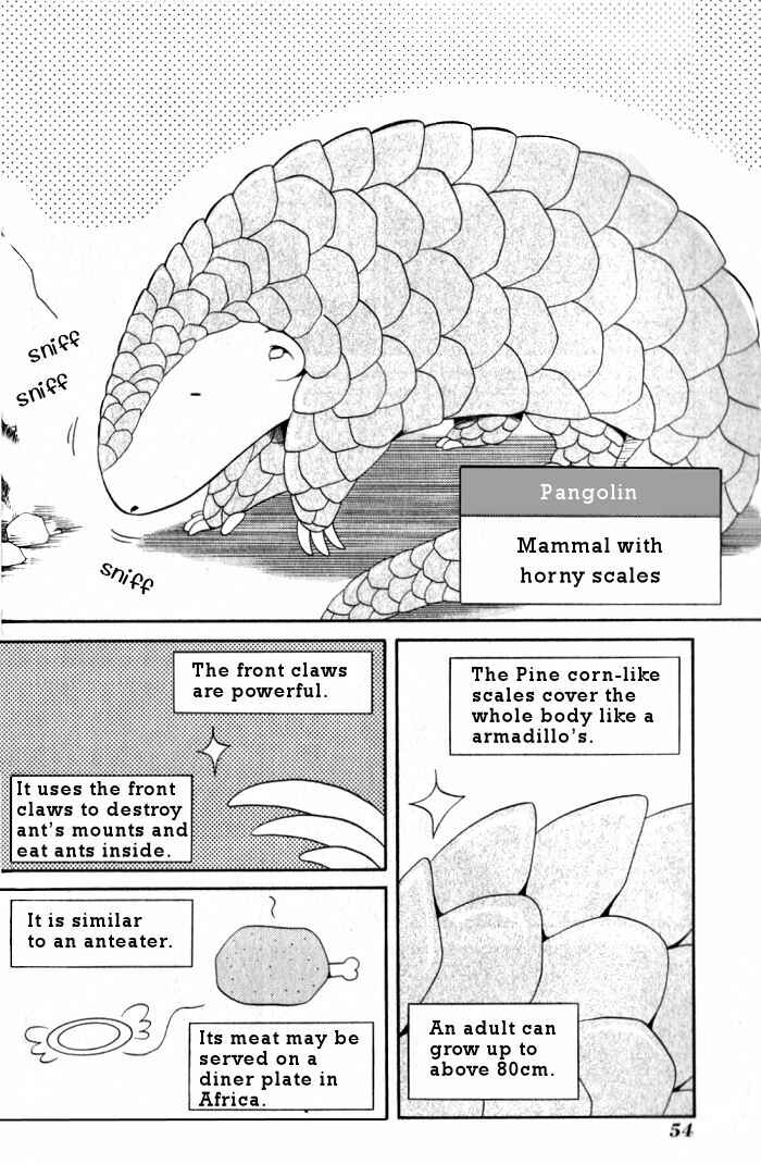 Page 8 Chapter 13 Bamboo Blade