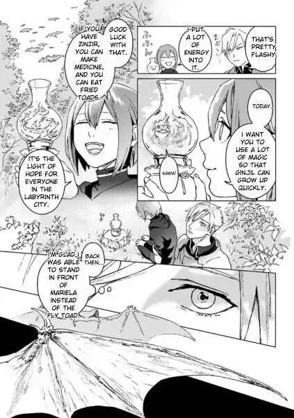 Page 24 Chapter 1 Ikinokori Renkinjutsushi wa Machi de Shizuka ni Kurashitai ~Rinkan no Mahou-yaku~