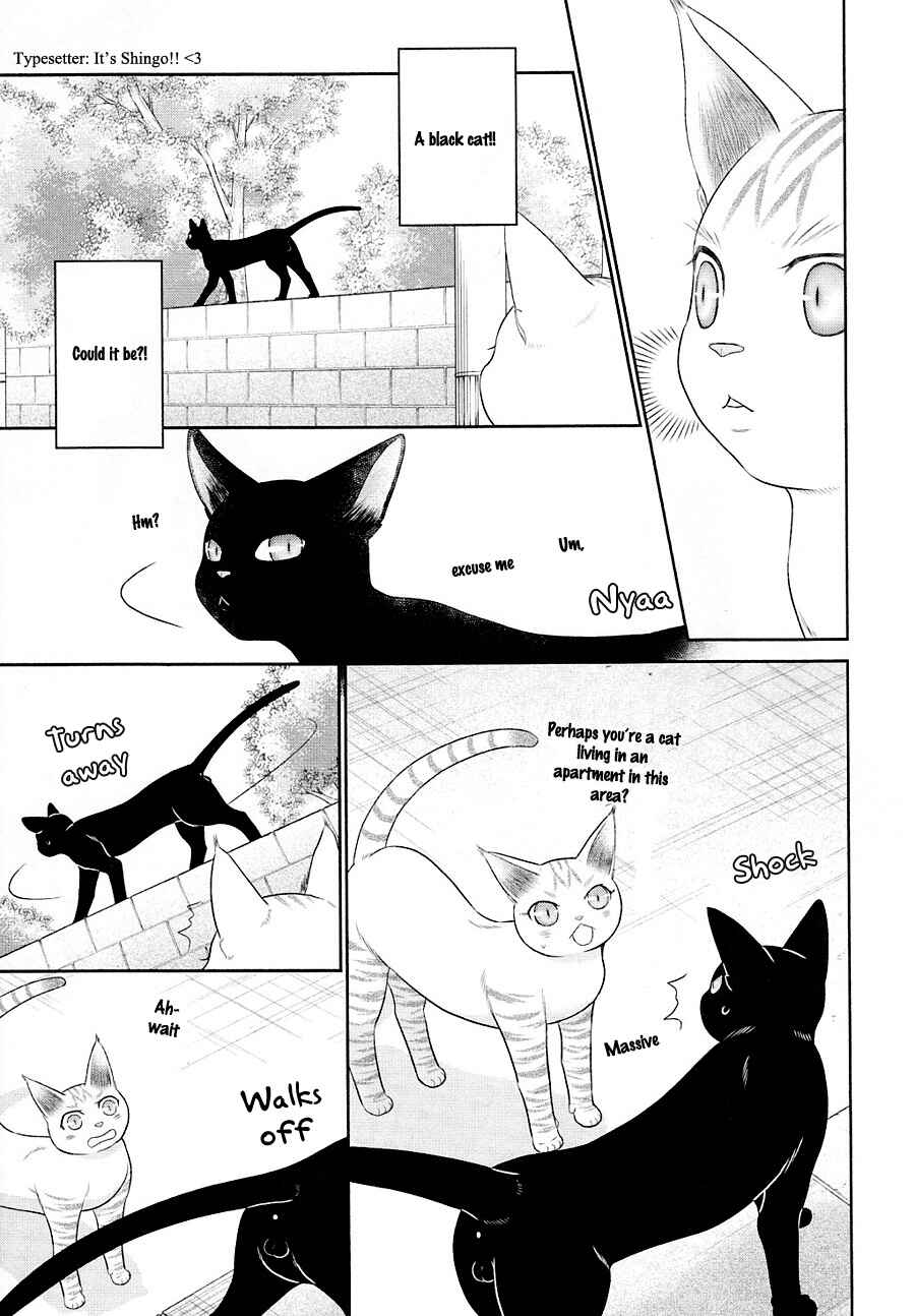 Page 14 Chapter 23 Nekoka Danshi no Shitsukekata