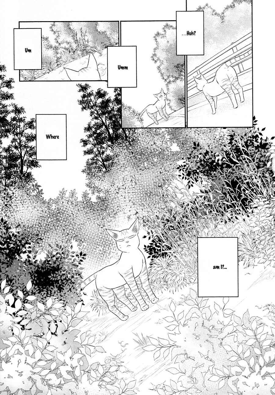Page 16 Chapter 23 Nekoka Danshi no Shitsukekata