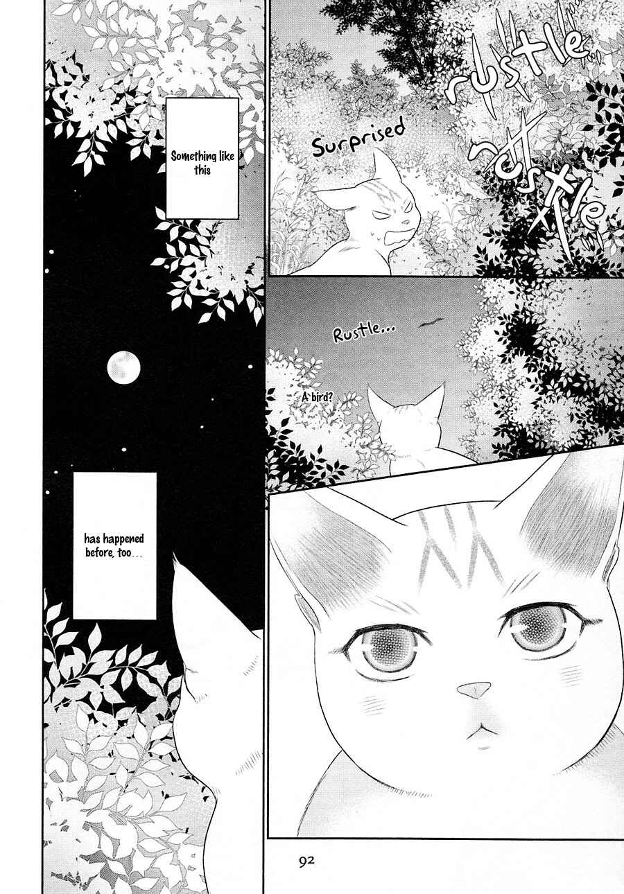 Page 21 Chapter 23 Nekoka Danshi no Shitsukekata