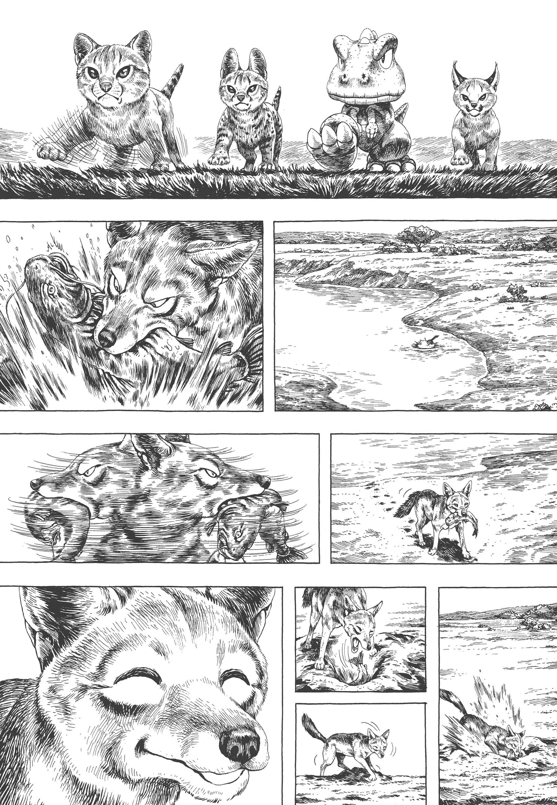 Page 13 Chapter 4 GON Selection