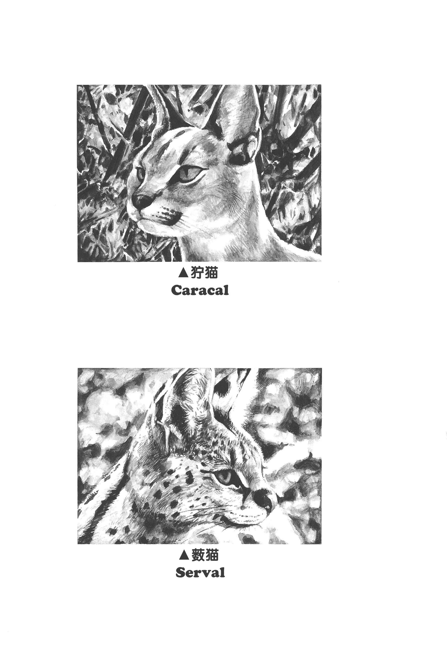 Page 32 Chapter 4 GON Selection