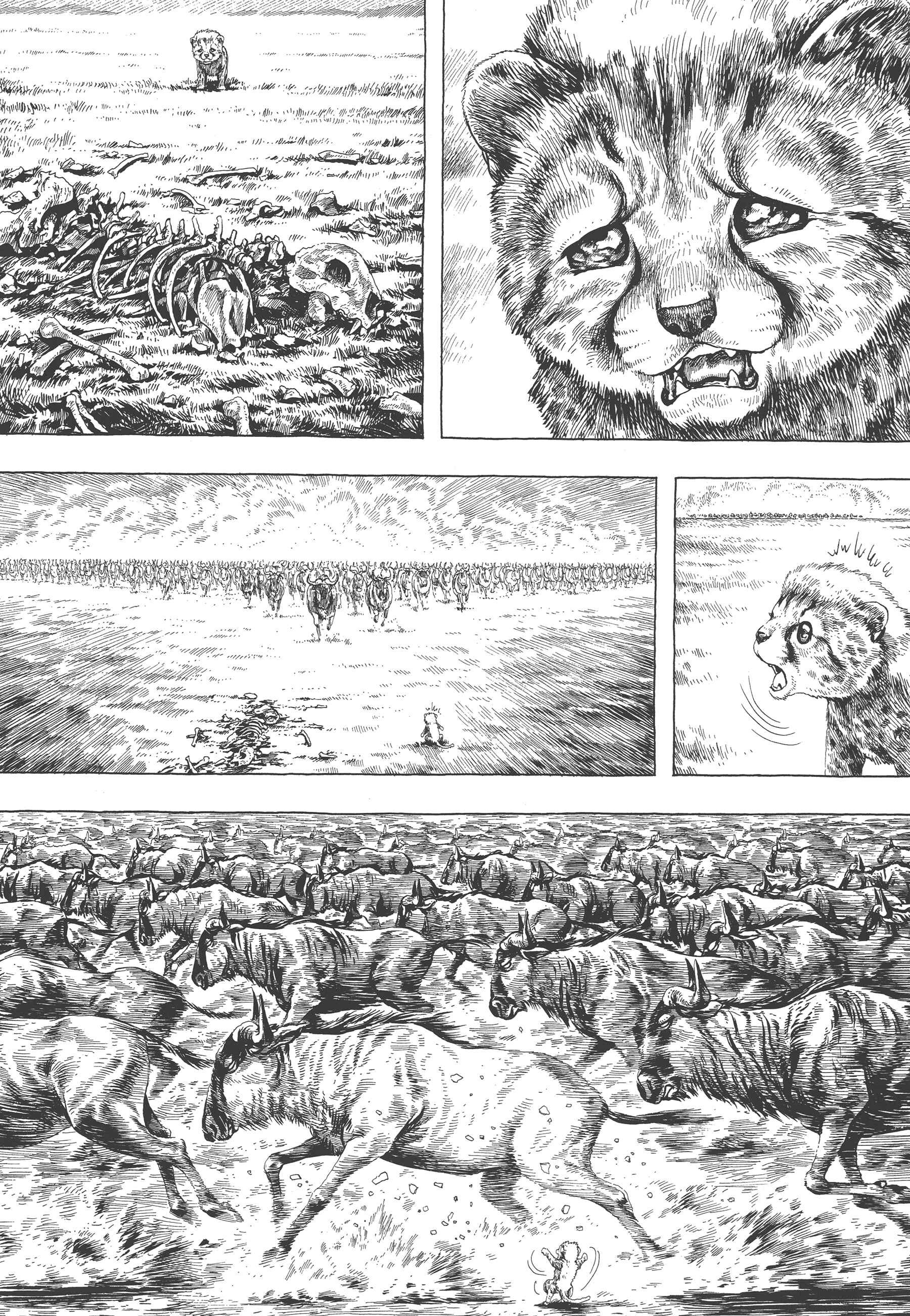 Page 5 Chapter 4 GON Selection