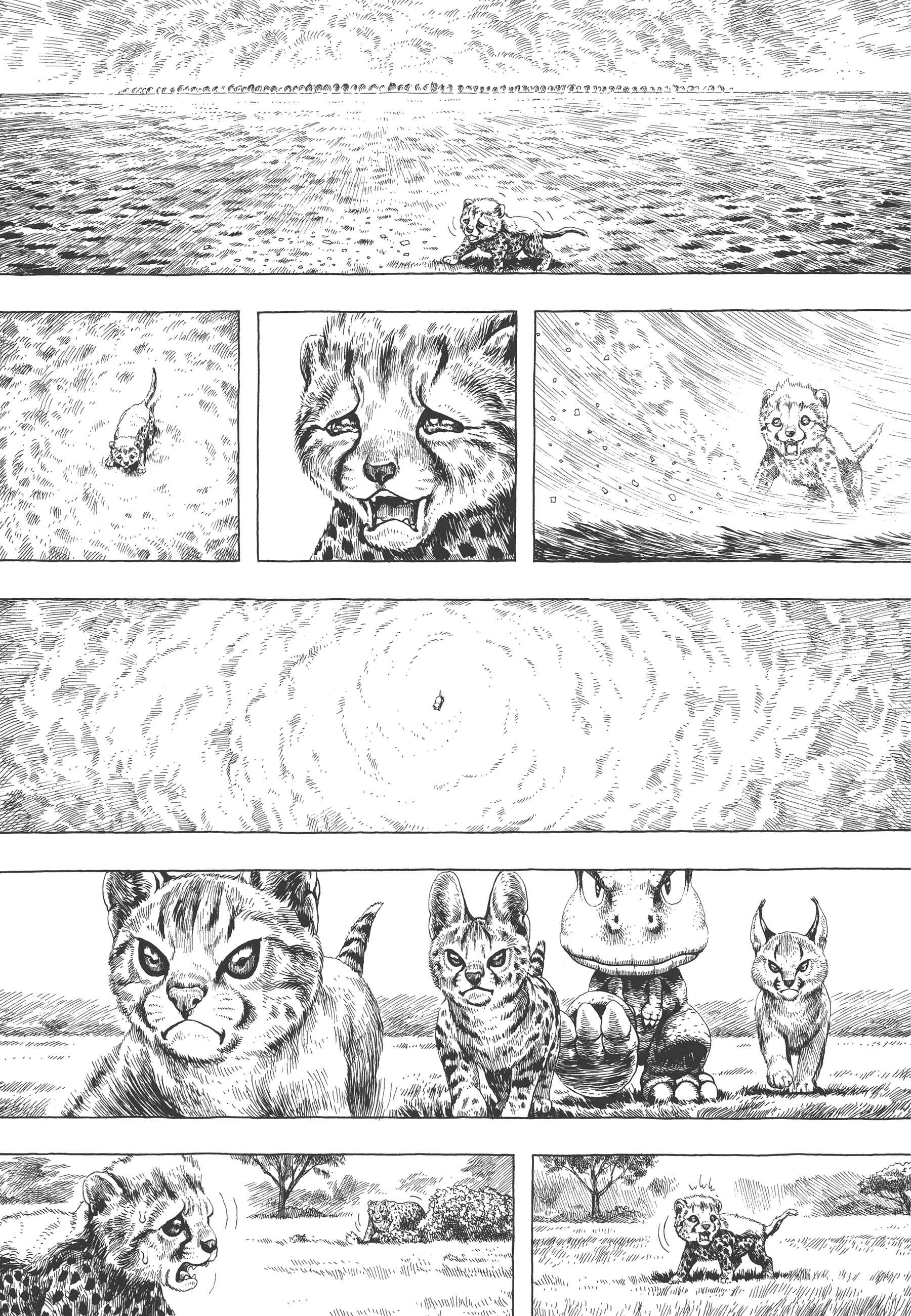 Page 6 Chapter 4 GON Selection