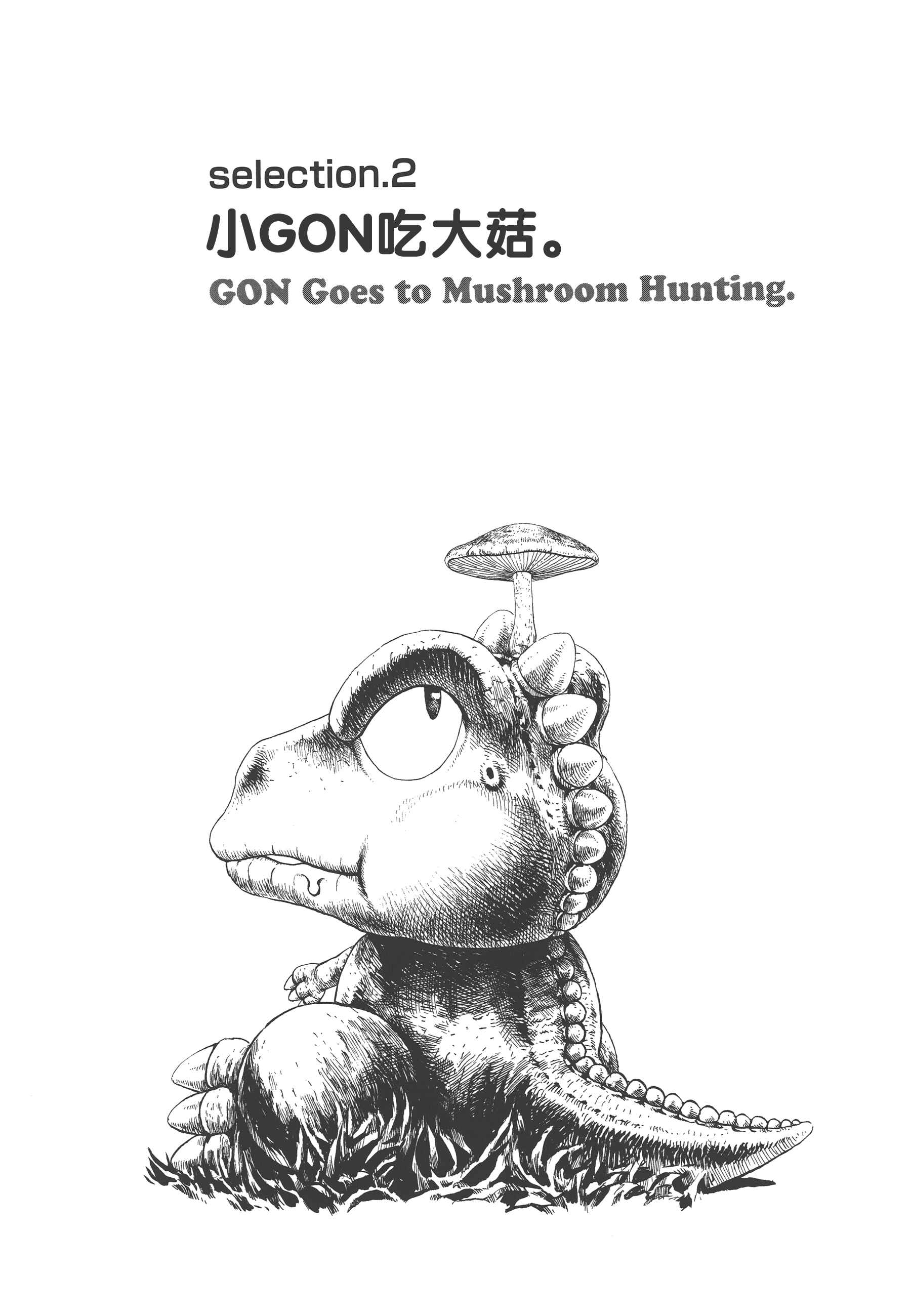 Page 1 Chapter 2 GON Selection