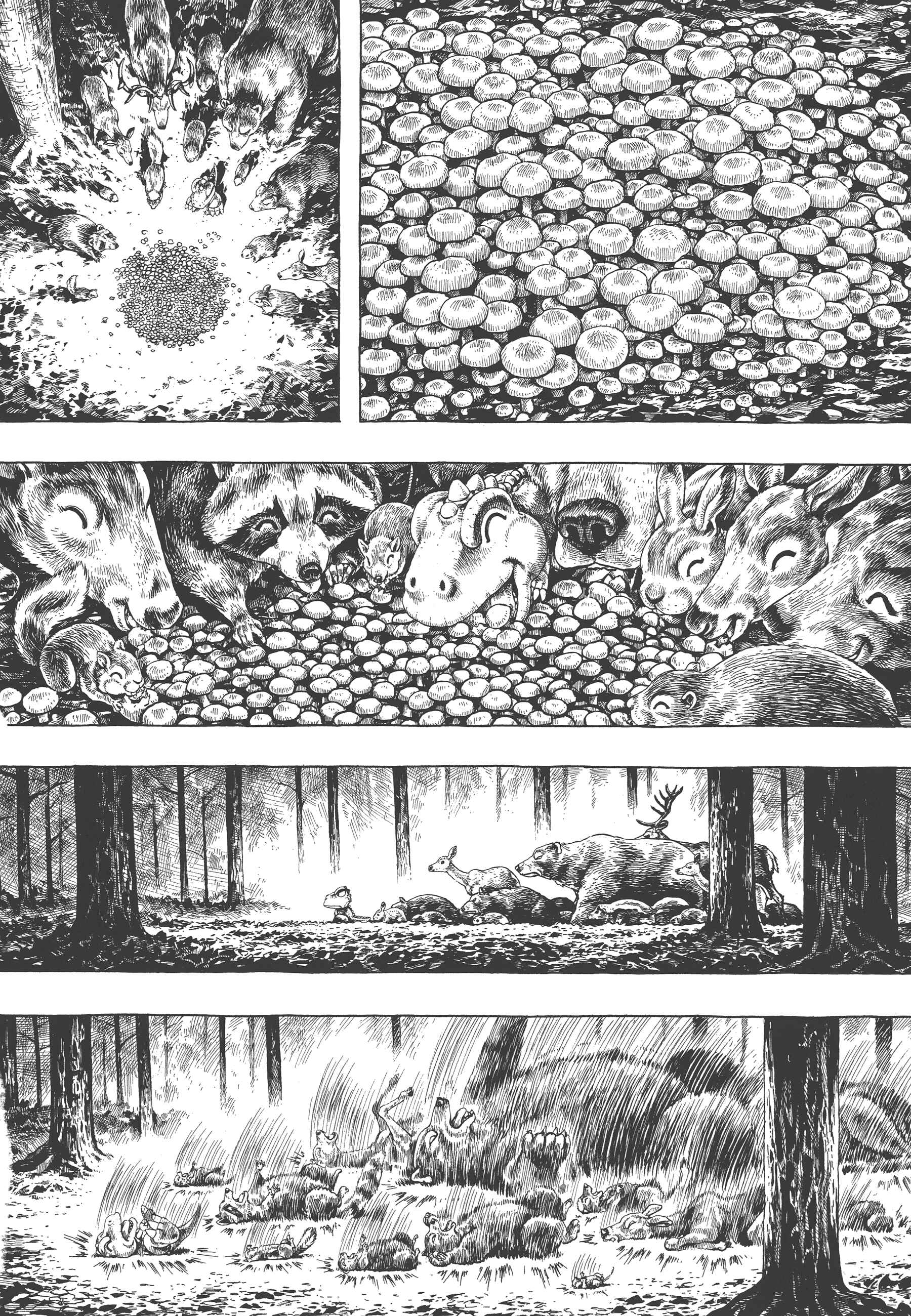 Page 12 Chapter 2 GON Selection
