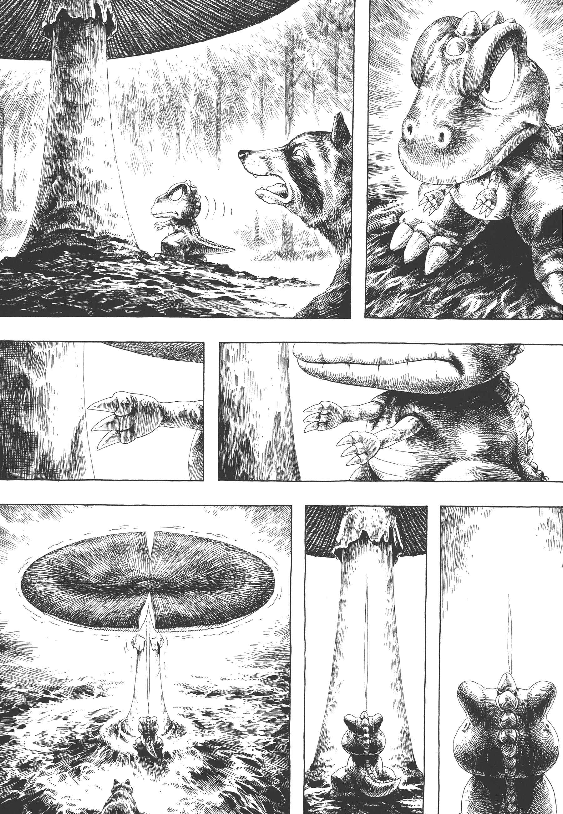 Page 27 Chapter 2 GON Selection