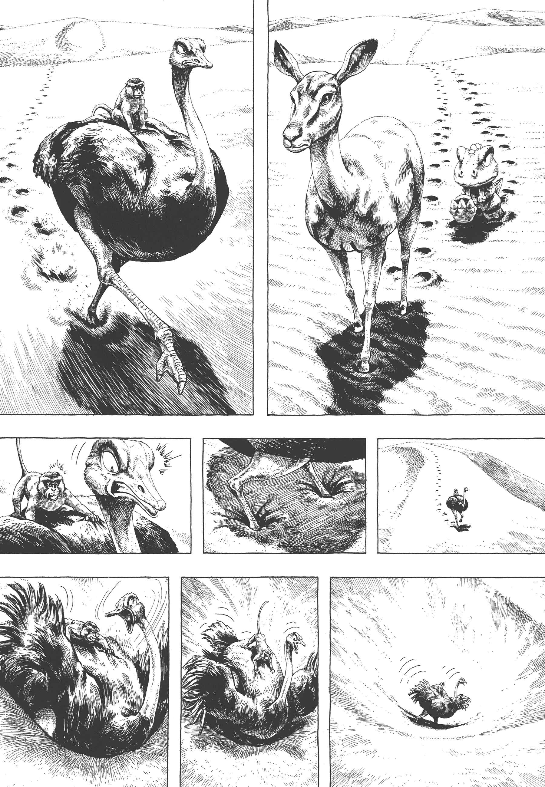 Page 10 Chapter 3 GON Selection