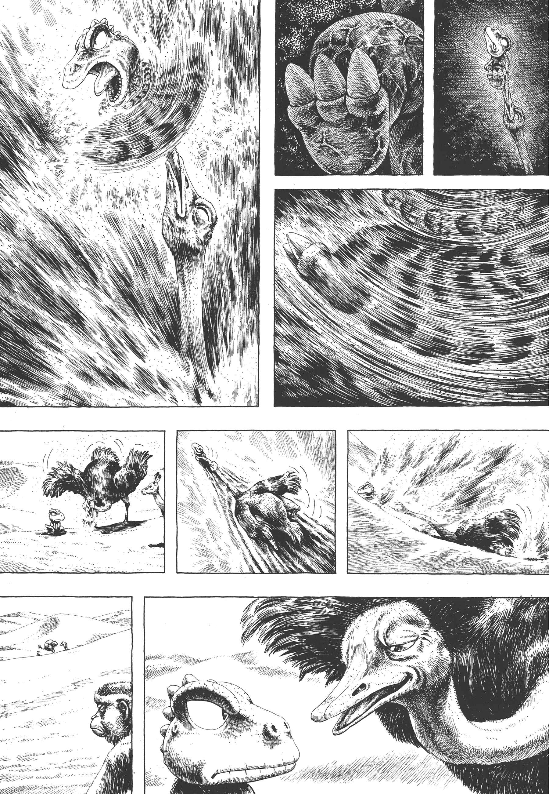 Page 13 Chapter 3 GON Selection