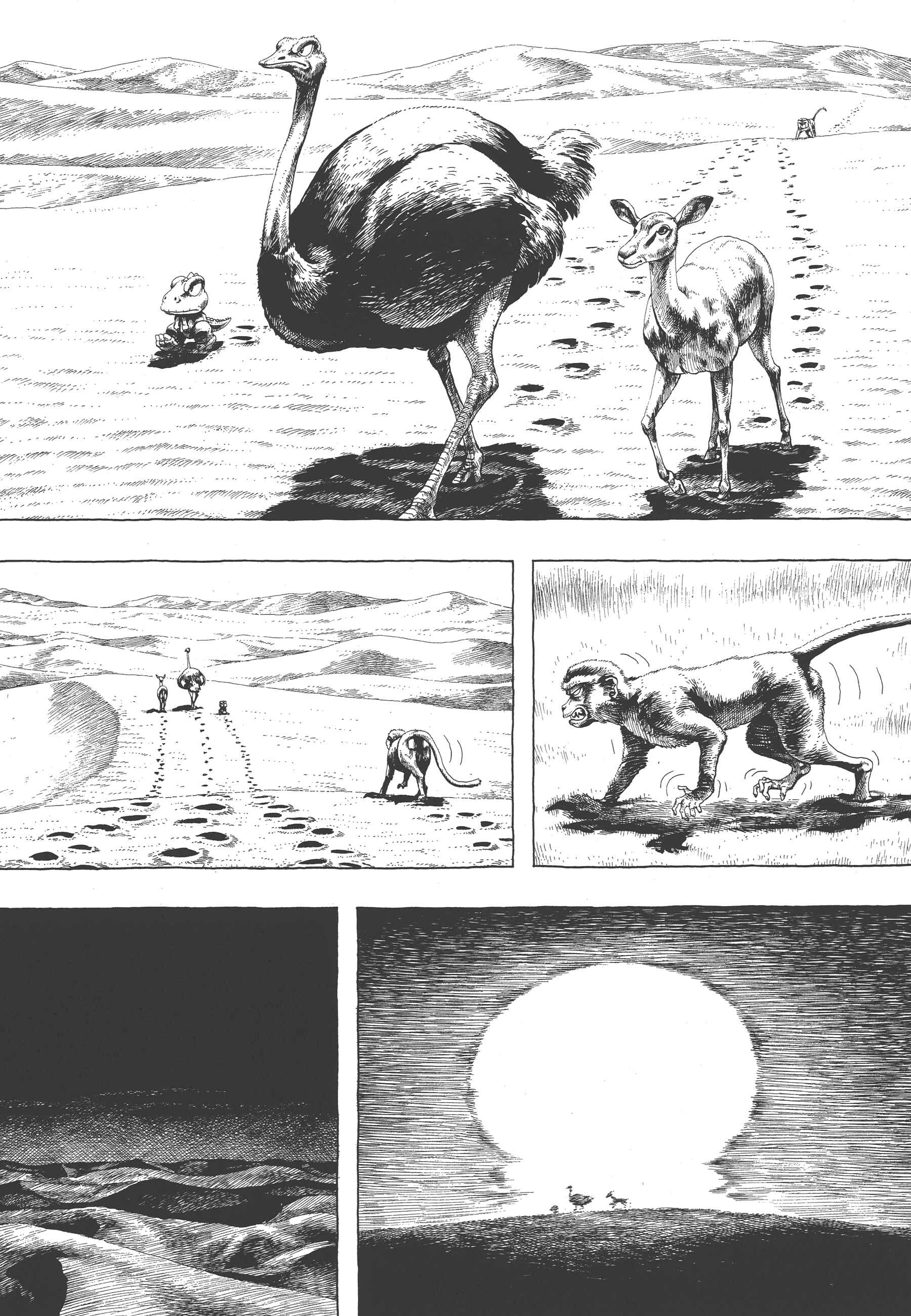 Page 14 Chapter 3 GON Selection