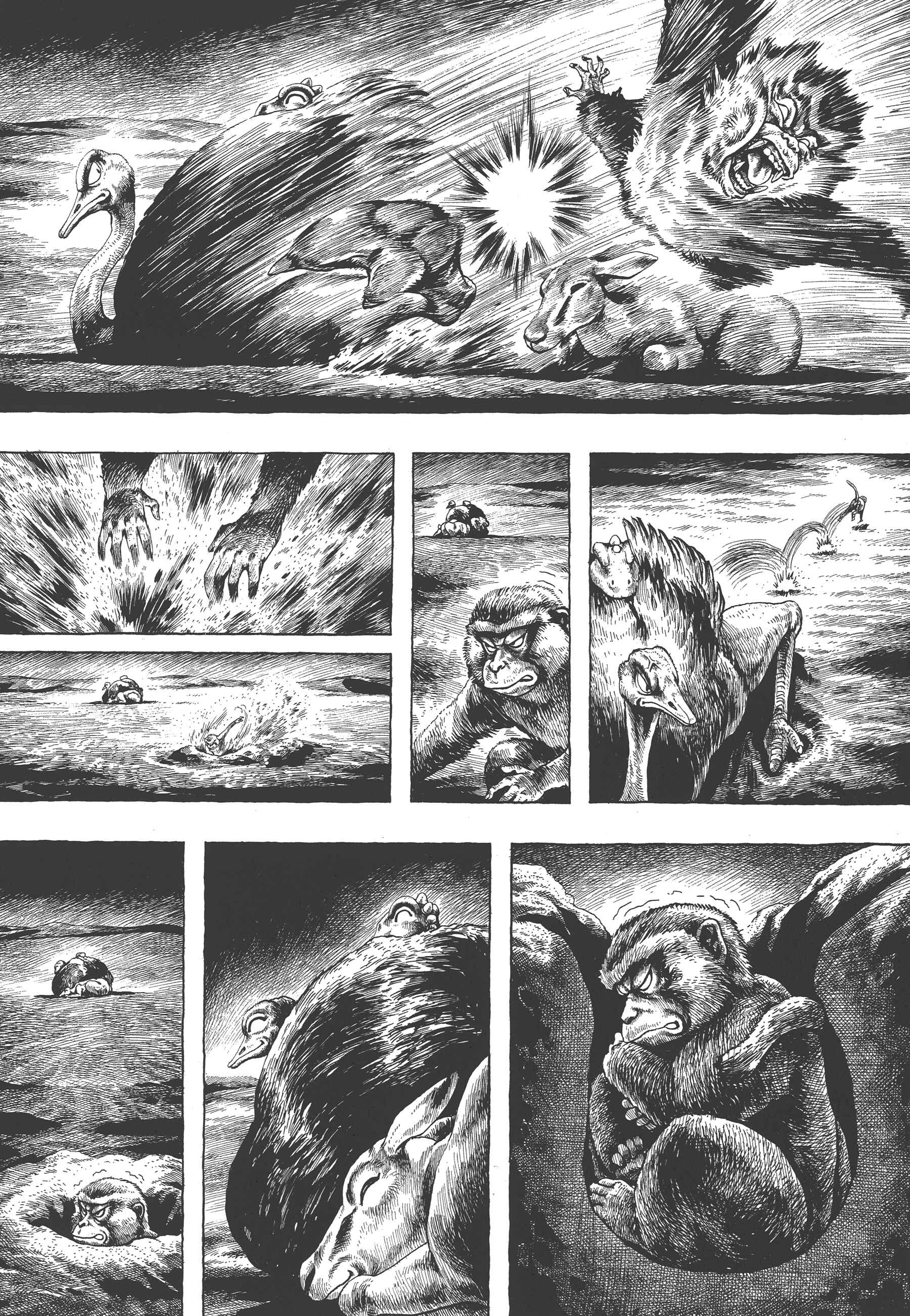 Page 16 Chapter 3 GON Selection