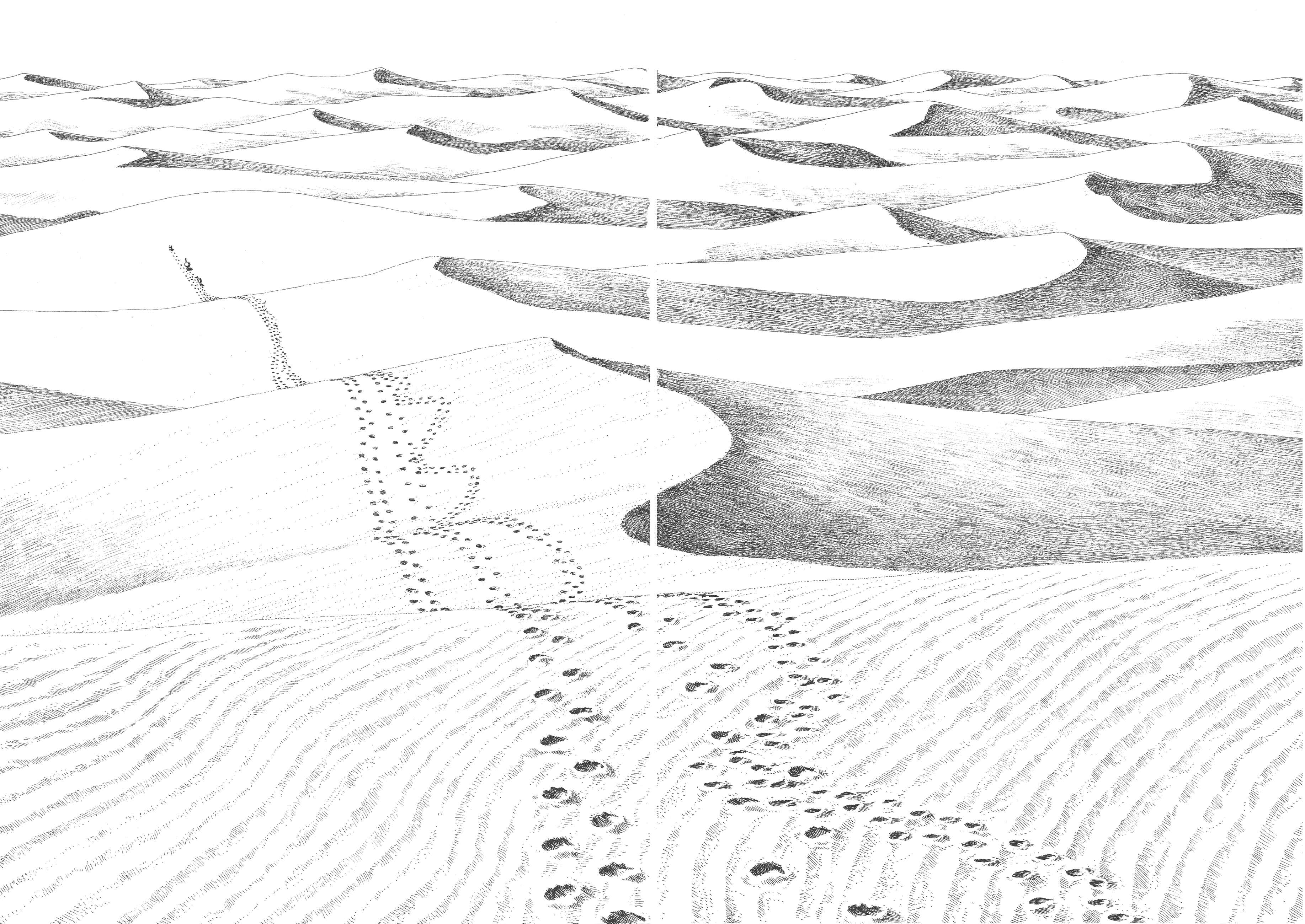Page 22 Chapter 3 GON Selection