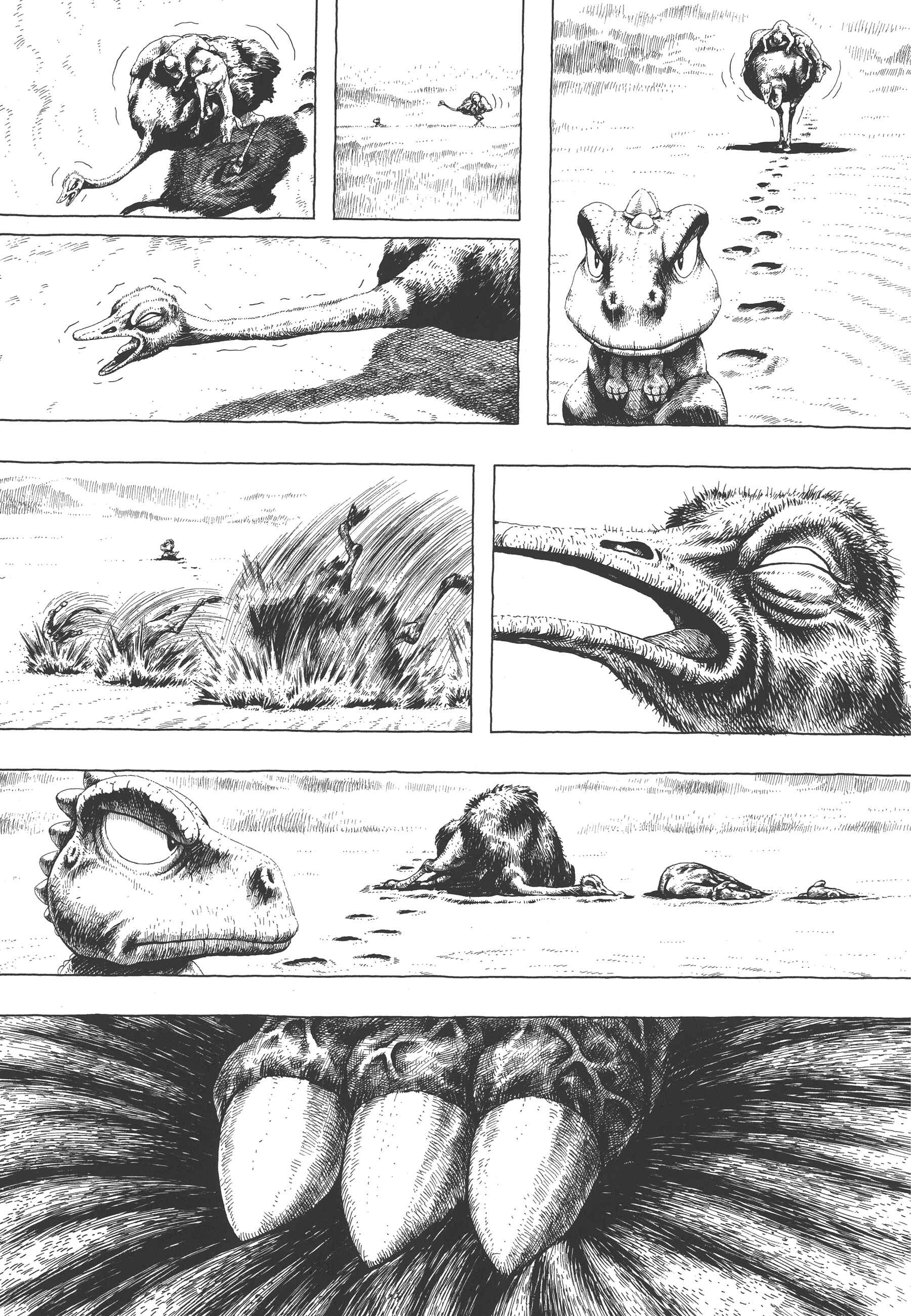 Page 26 Chapter 3 GON Selection