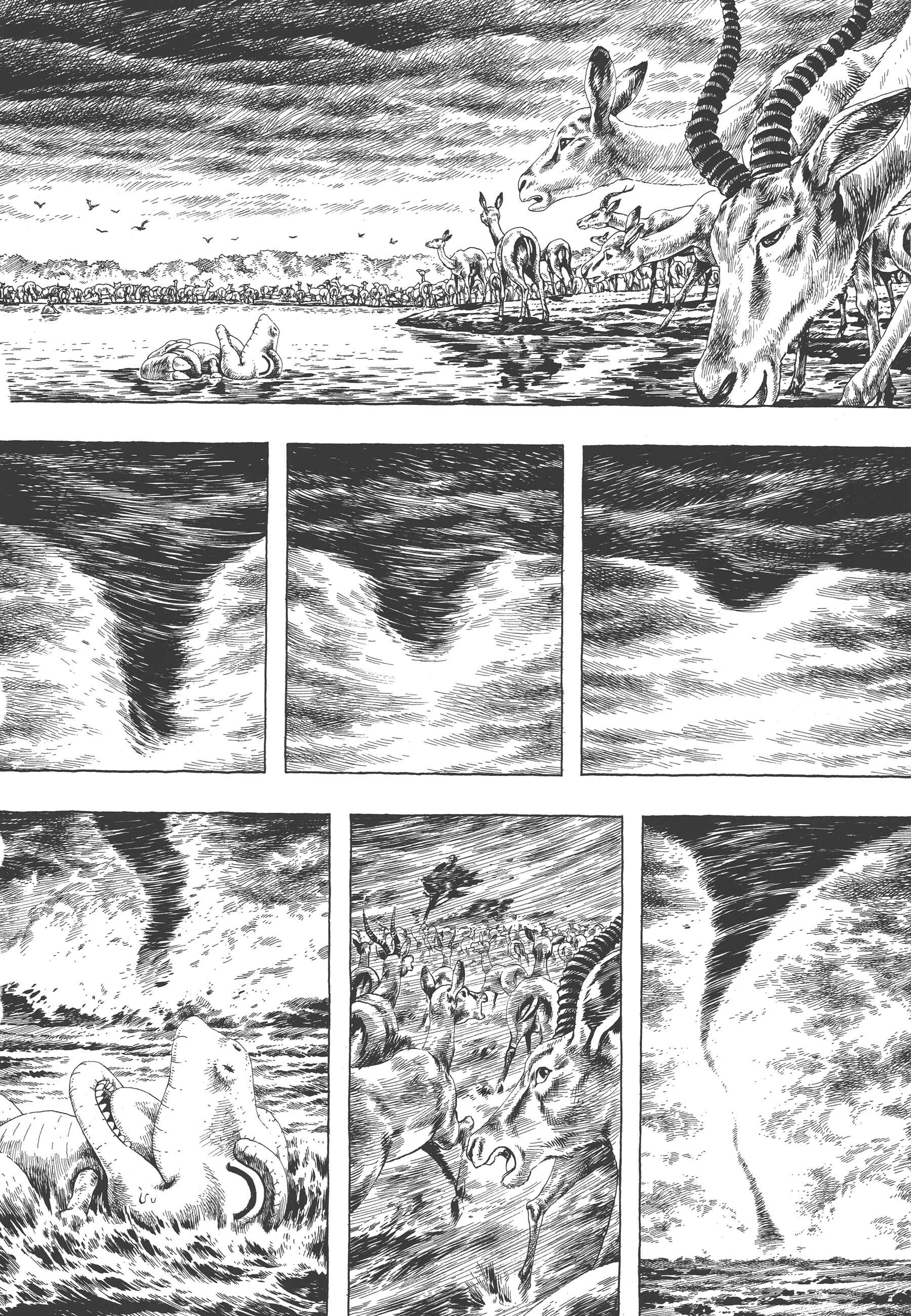 Page 3 Chapter 3 GON Selection