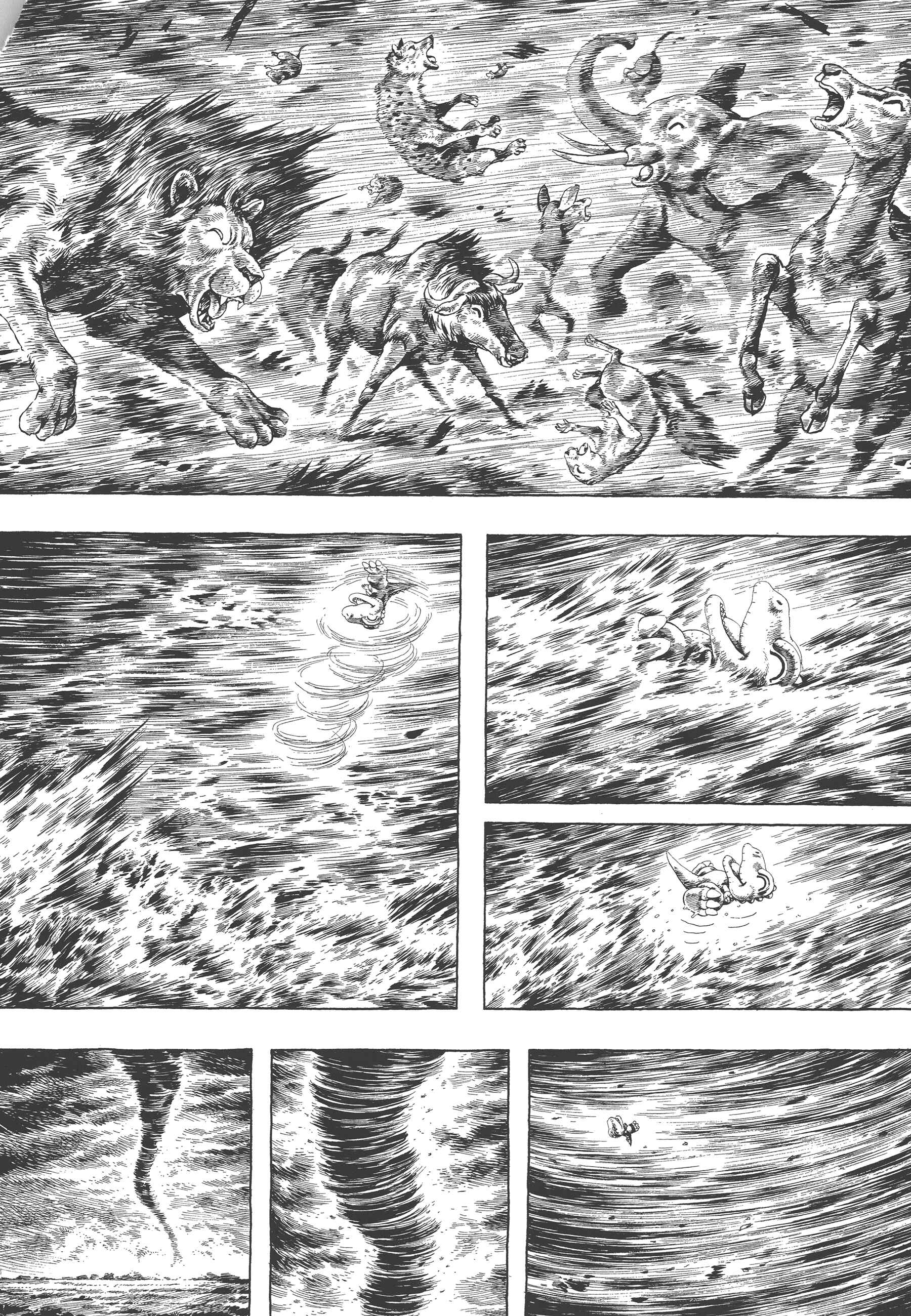 Page 5 Chapter 3 GON Selection