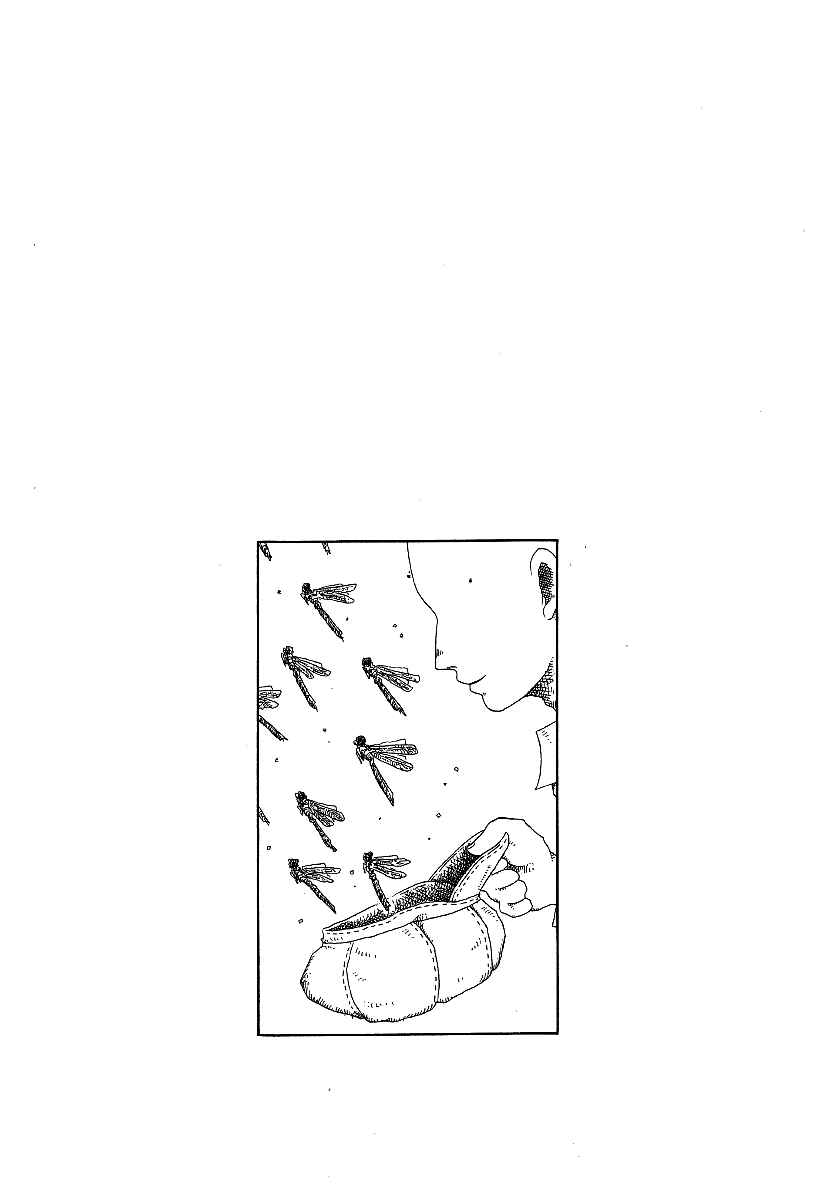 Page 34 Chapter 12 First District Back Alley