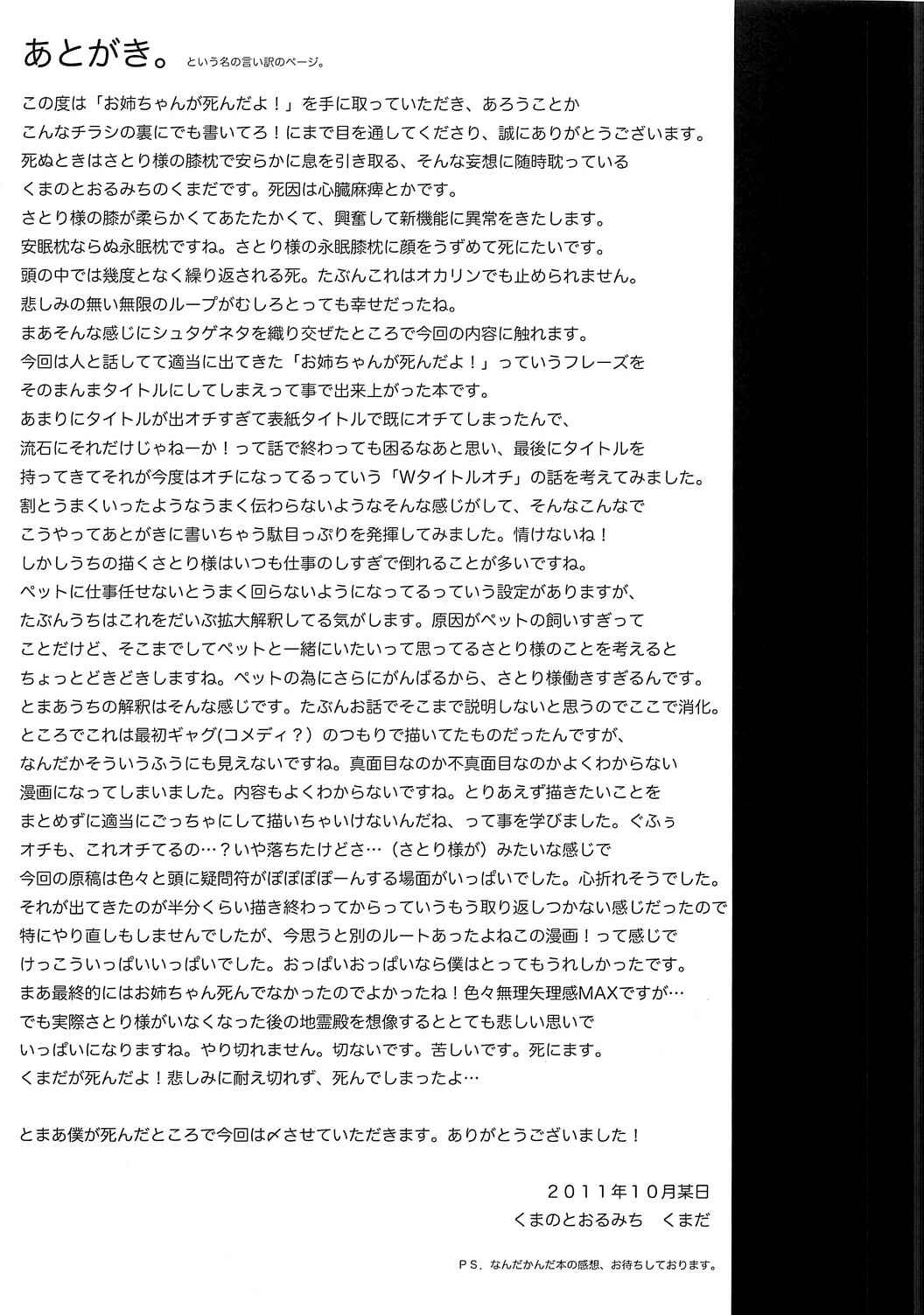 Page 16 Chapter Unknown_0be8 Touhou - Onee-chan Has Died (Doujinshi)
