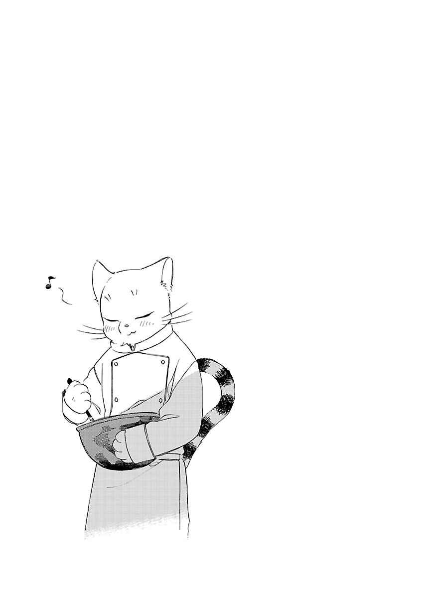 Page 29 Chapter 6 The Antique Cat Shop