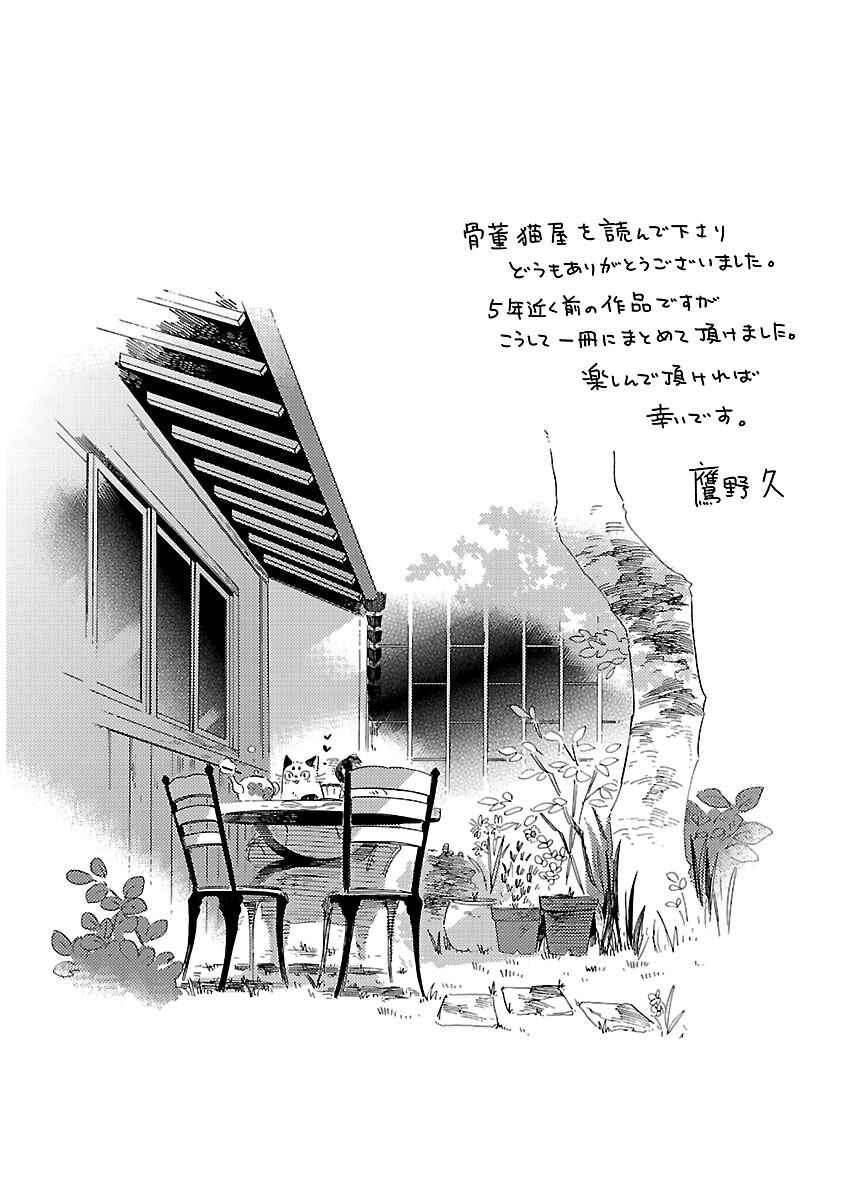Page 30 Chapter 6 The Antique Cat Shop