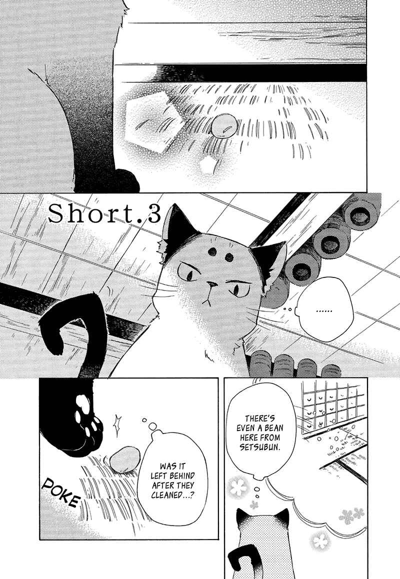 Page 1 Chapter 3.5 The Antique Cat Shop