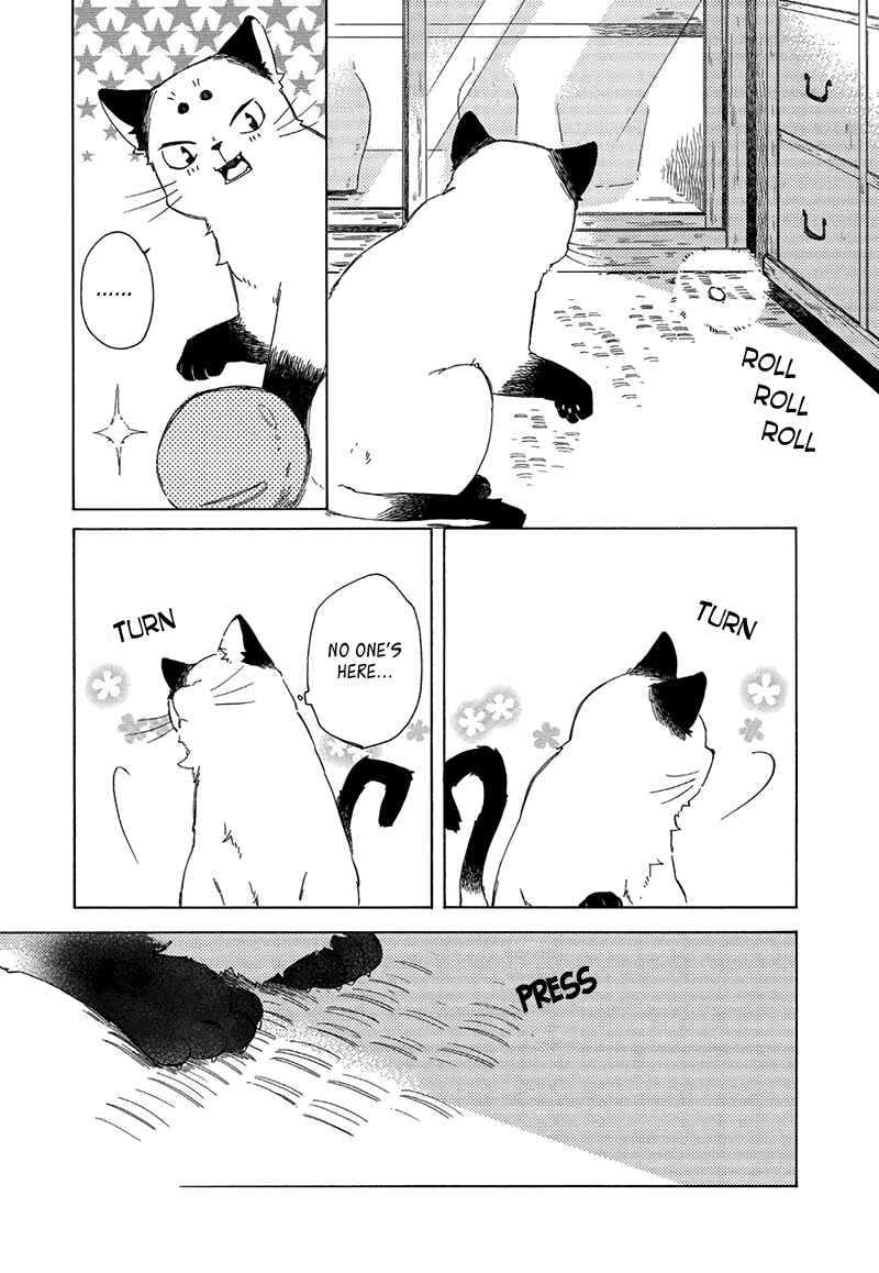 Page 2 Chapter 3.5 The Antique Cat Shop