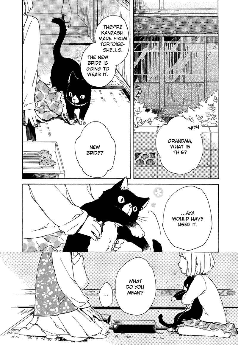 Page 1 Chapter 3 The Antique Cat Shop