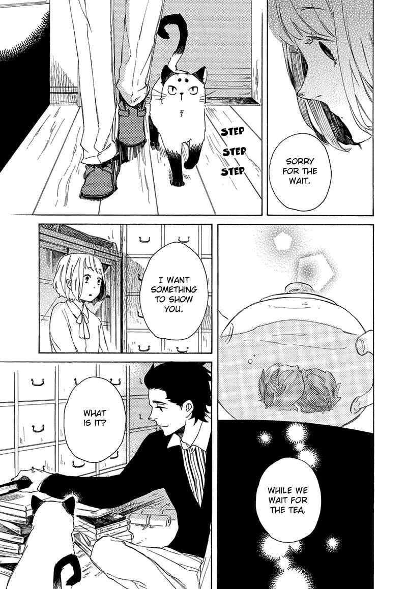 Page 16 Chapter 3 The Antique Cat Shop
